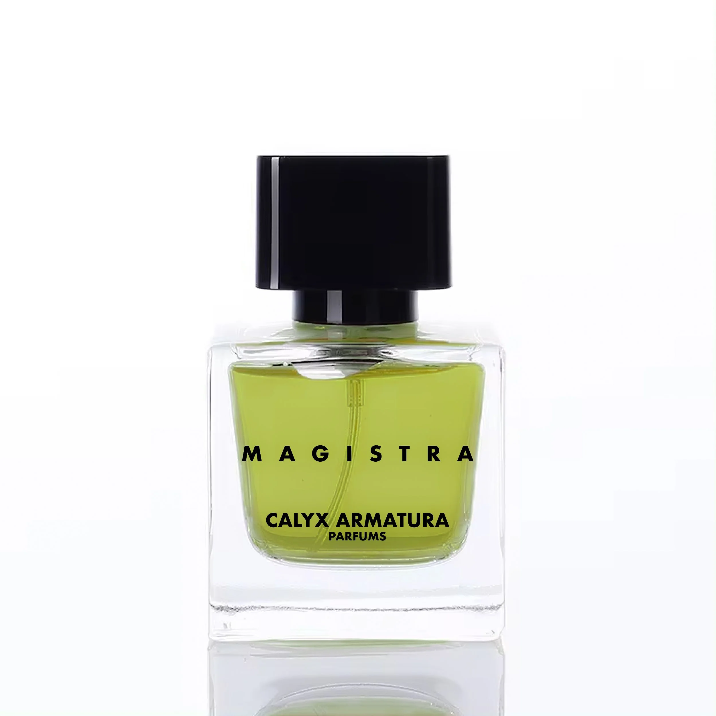 Magistra
