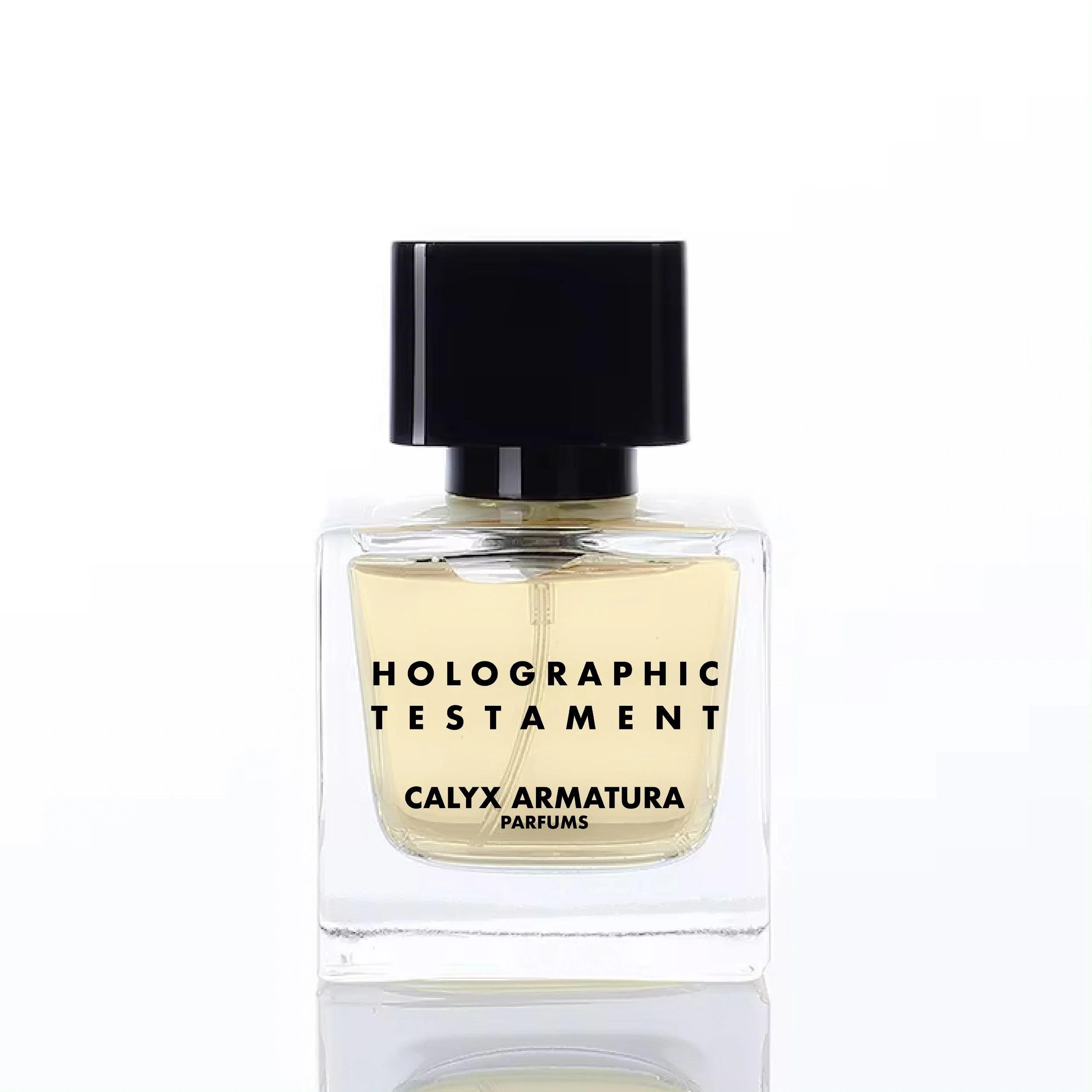 Holographic Testament