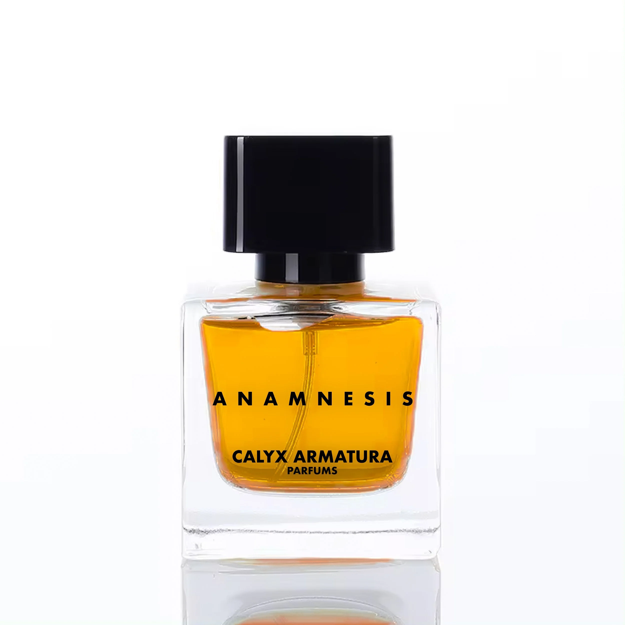 Anamnesis