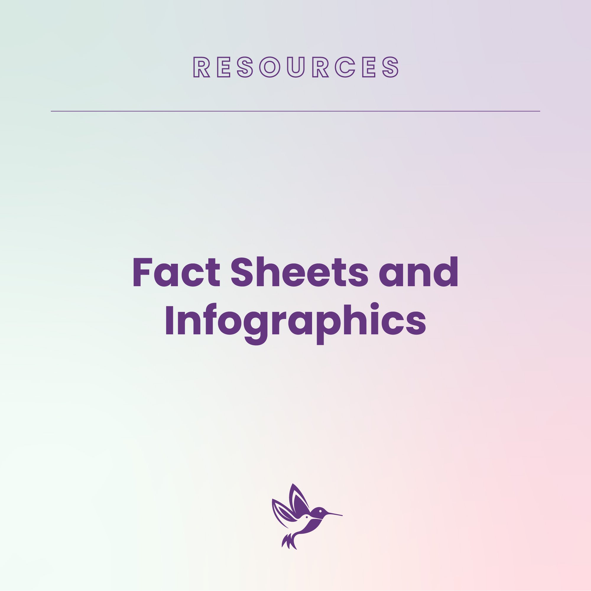 Fact Sheets and Infographics (Copy)