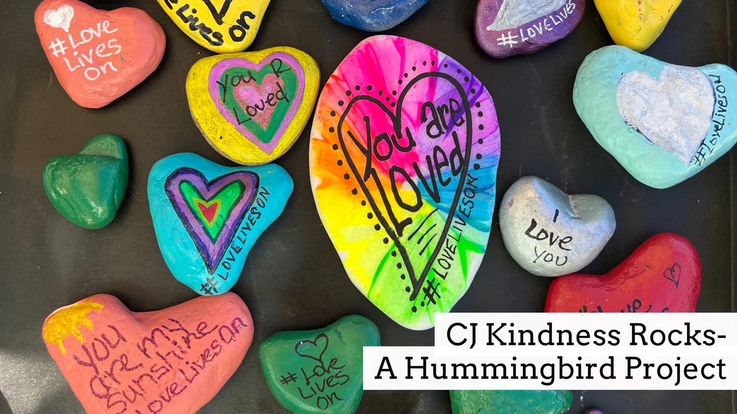 CJ Kindness Rocks β The Hummingbird Project