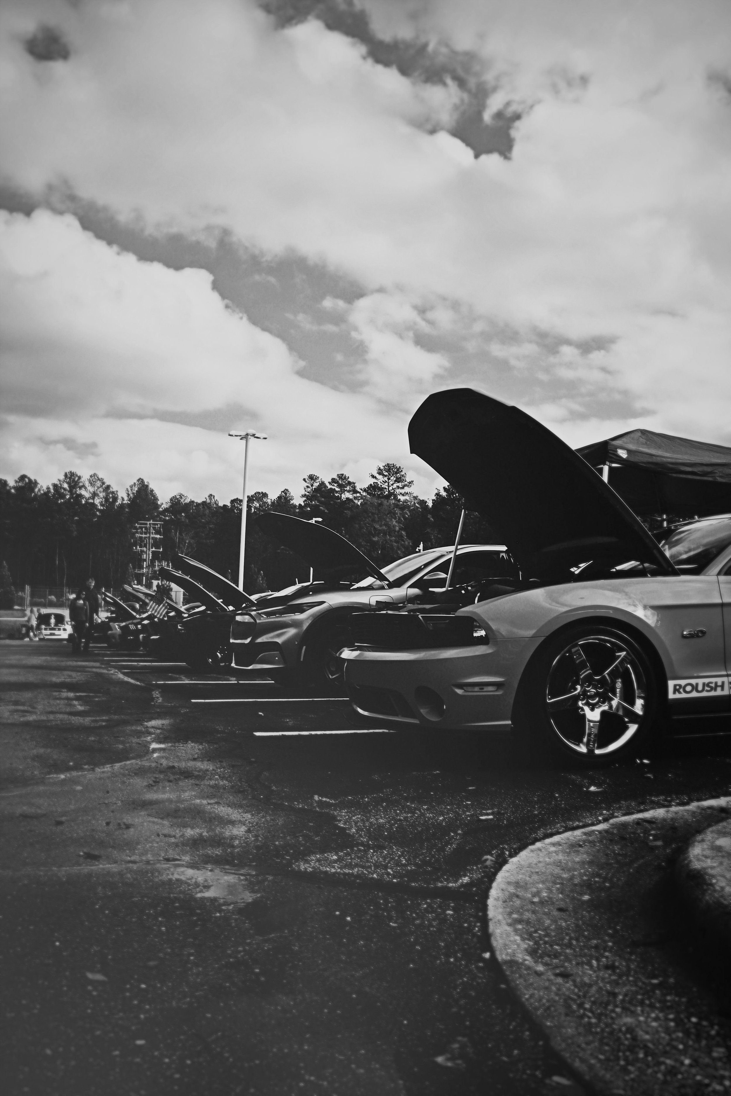 60991A50-F57F-463F-BAB2-8FE948A71906.jpeg