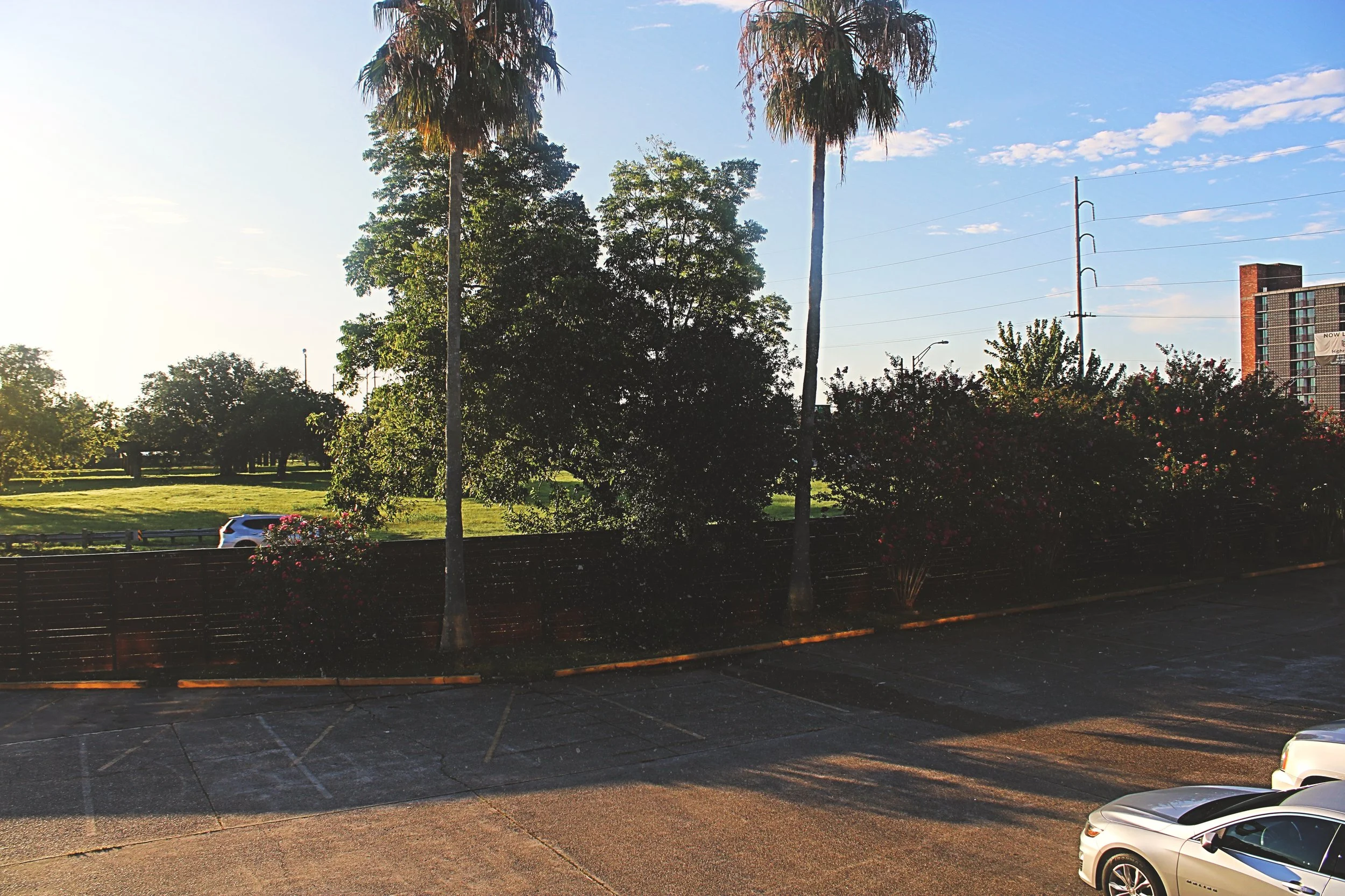 91B1B5A4-AB78-40DE-BDB0-746FD1AD5807.jpeg
