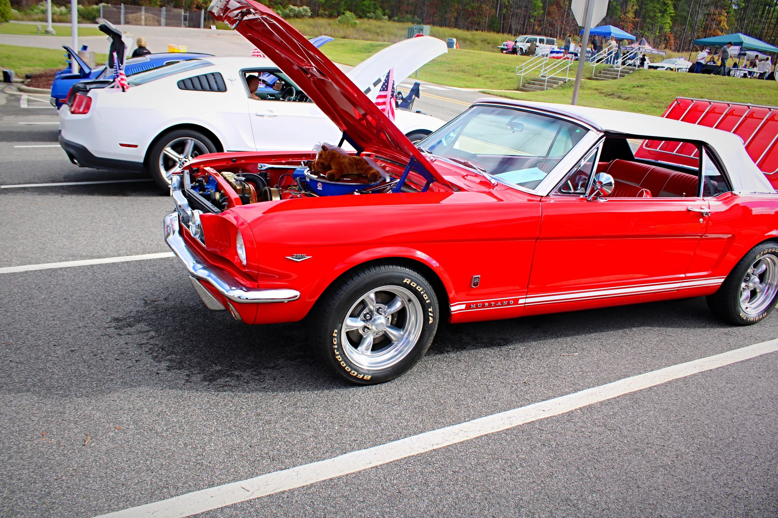 3718F354-0414-490D-BD2C-52627CF714B1.jpeg