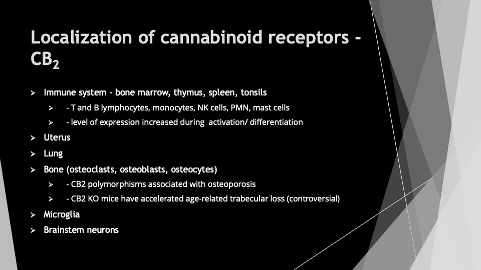 Slide11.png