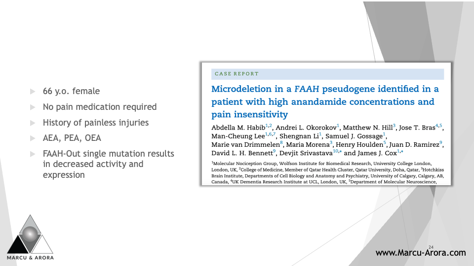 Slide24.png