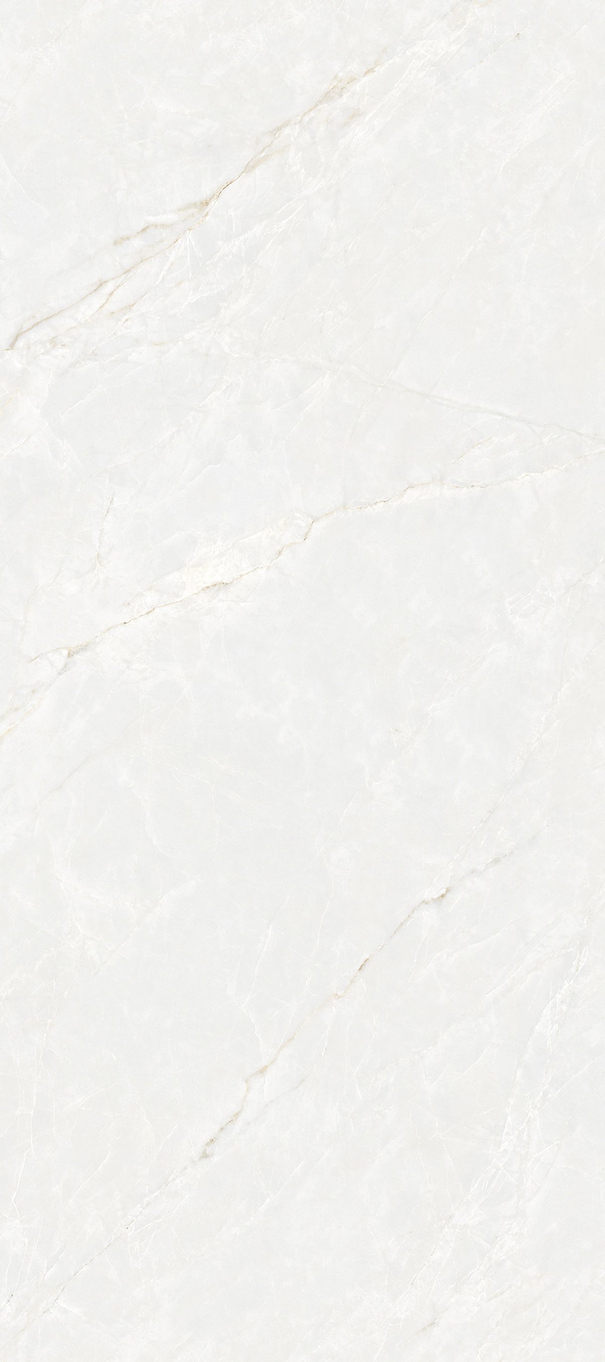 White Jade 4' x 9' Porcelain Slab | CIERO
