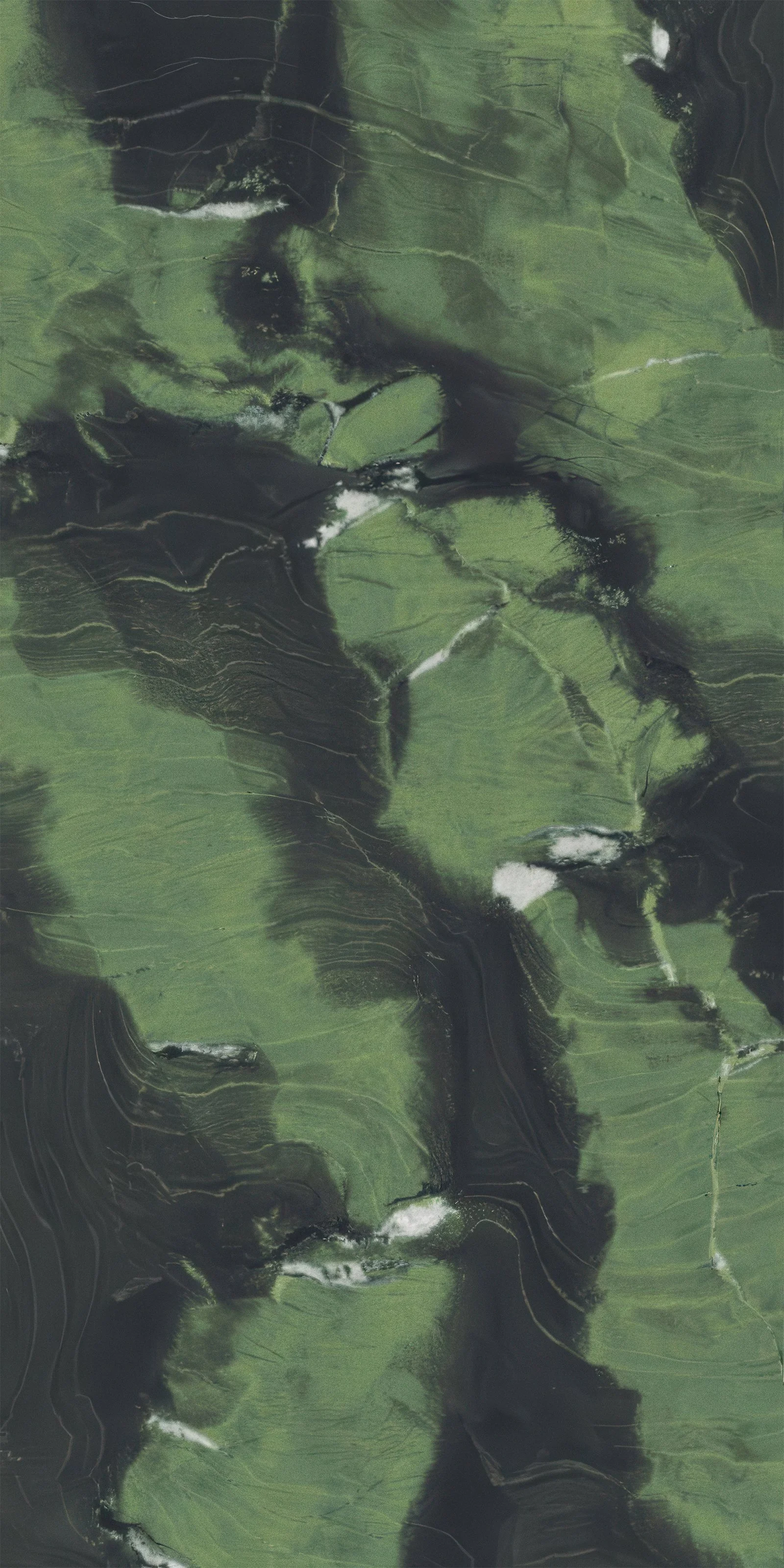 AVOCADO GREEN PORCELAIN SLAB | CIERO