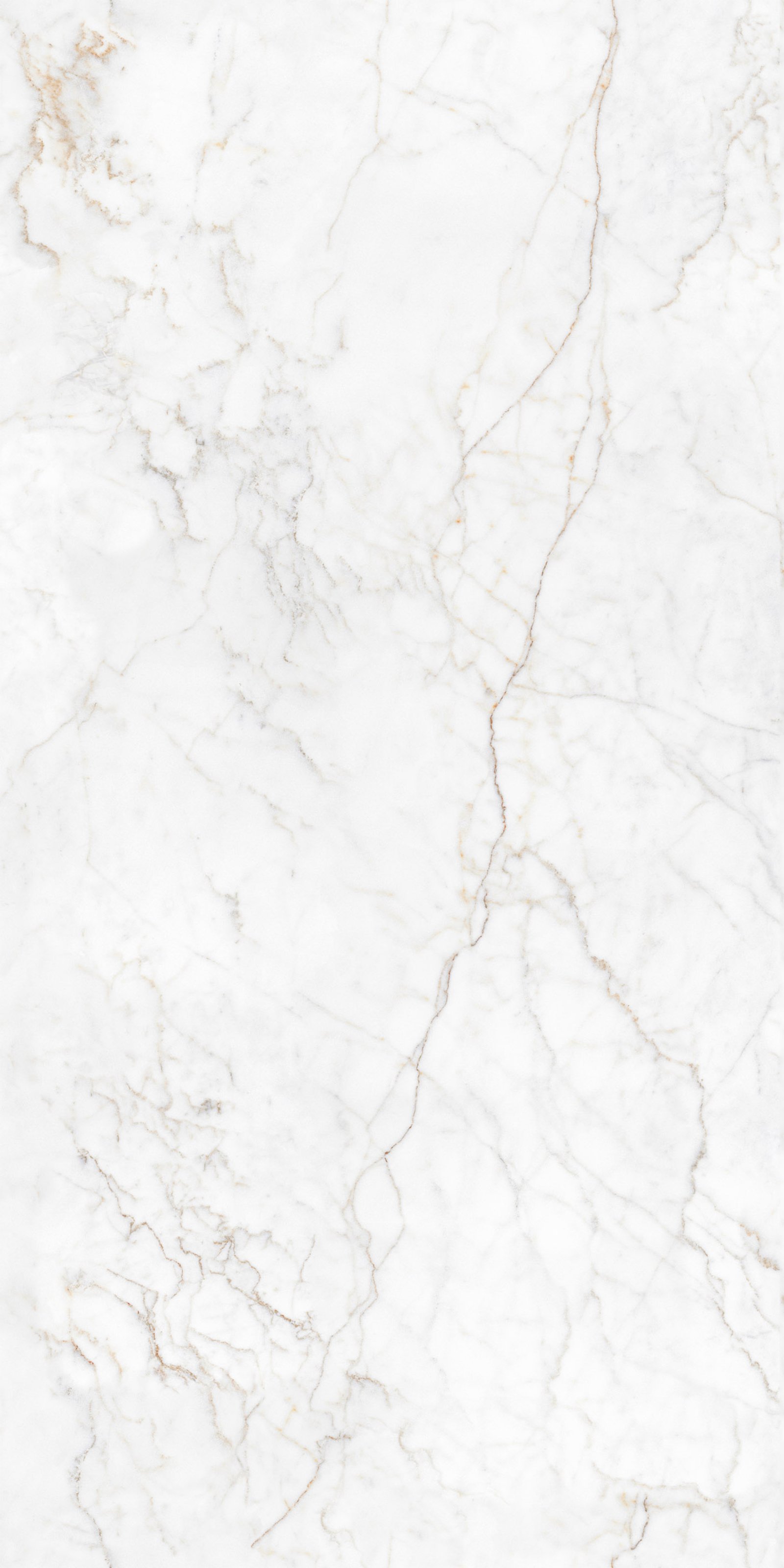 Zeus White 5' x 10' Porcelain Slab | CIERO
