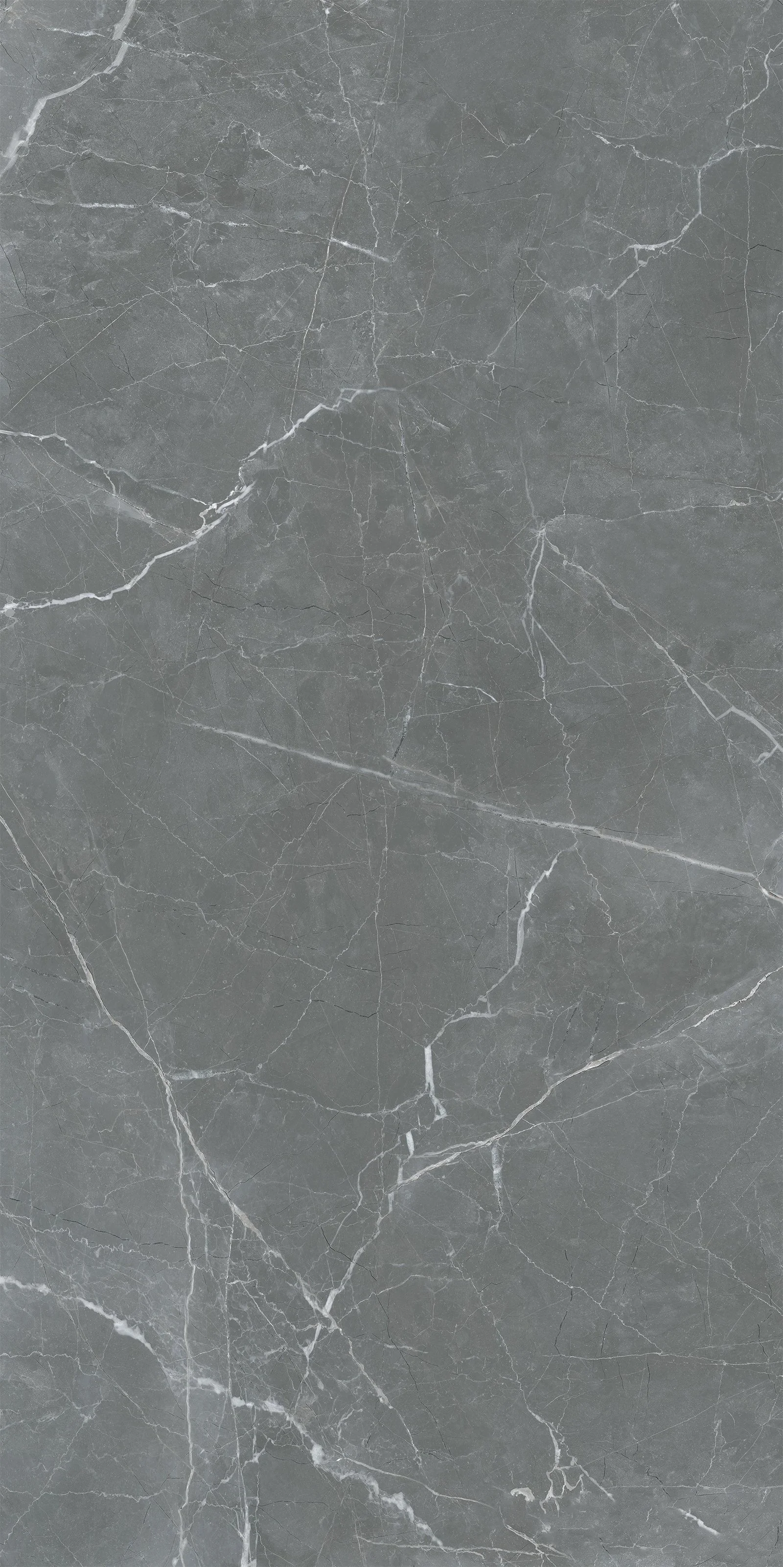 Bosnia Grey 5' x 10' Porcelain Slab | CIERO
