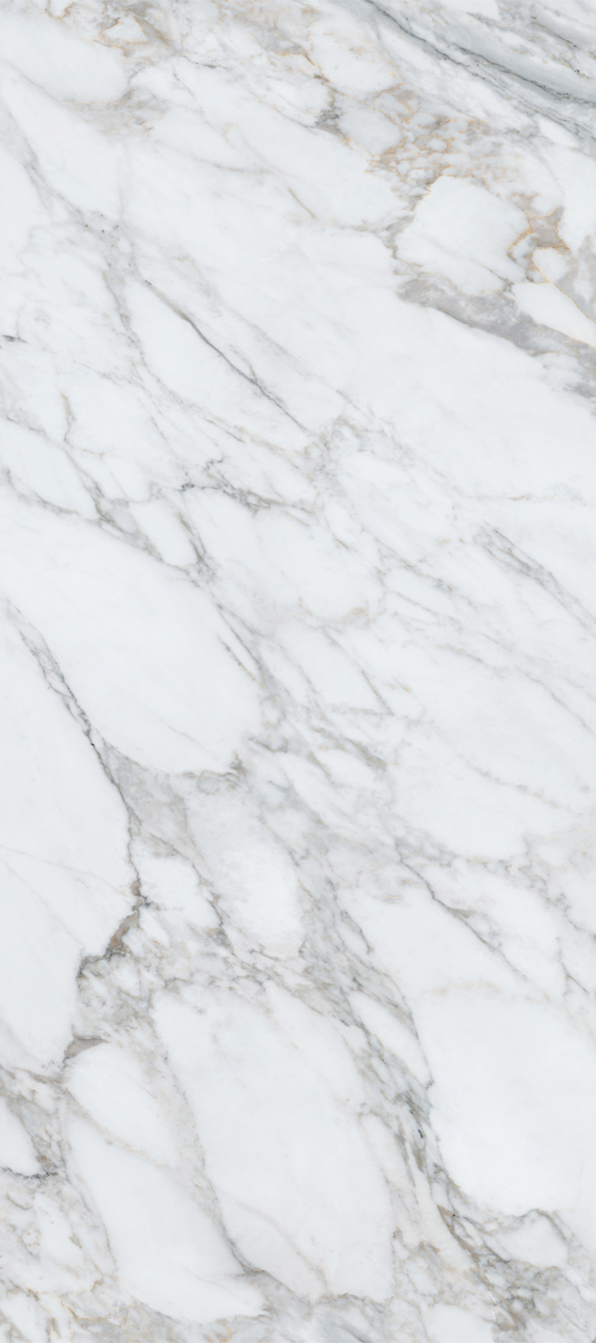 Calacatta Royal 4' x 9' Porcelain Slab | CIERO