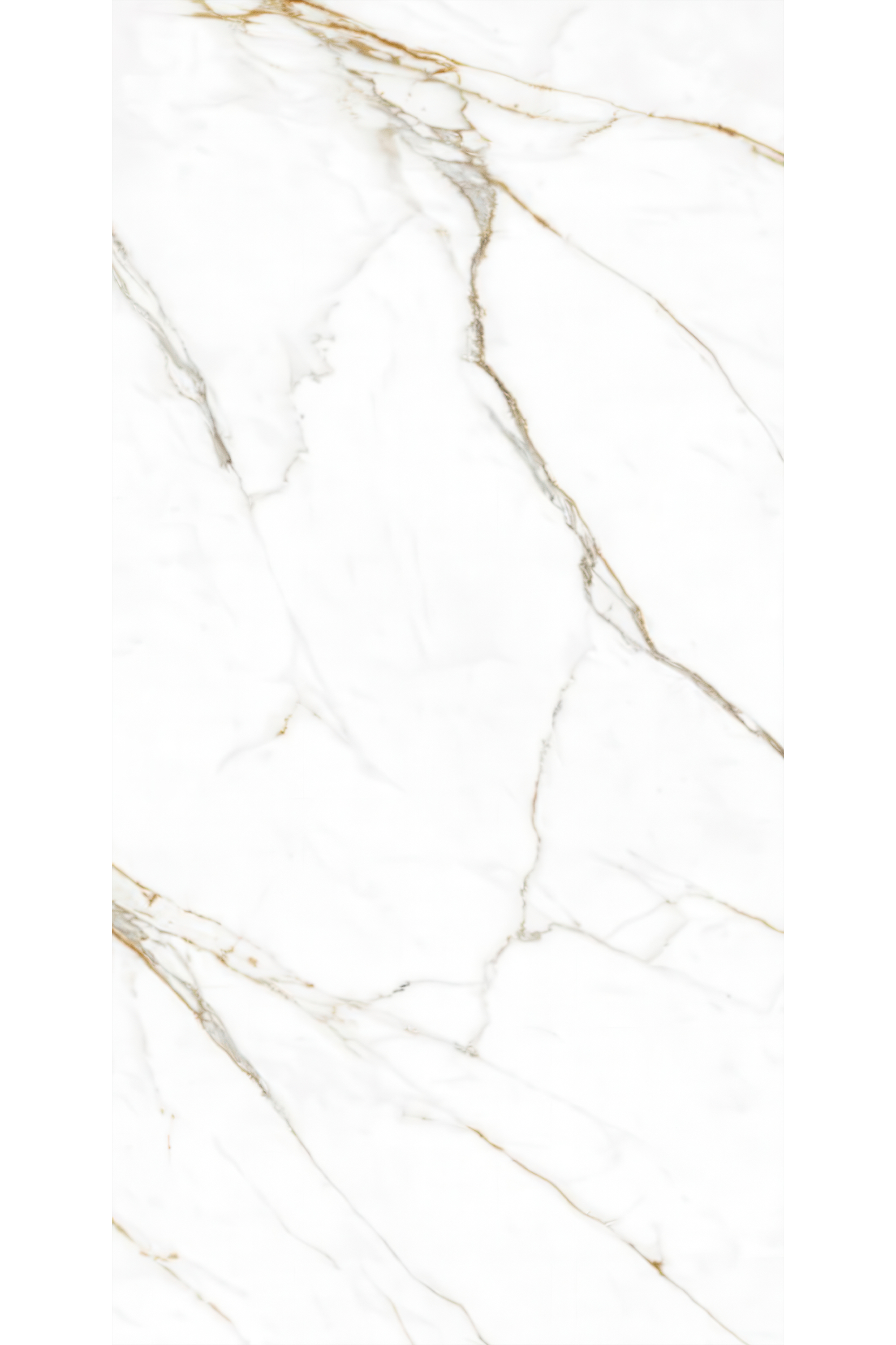 Carrara Gold 5x10 Porcelain Slab | CIERO