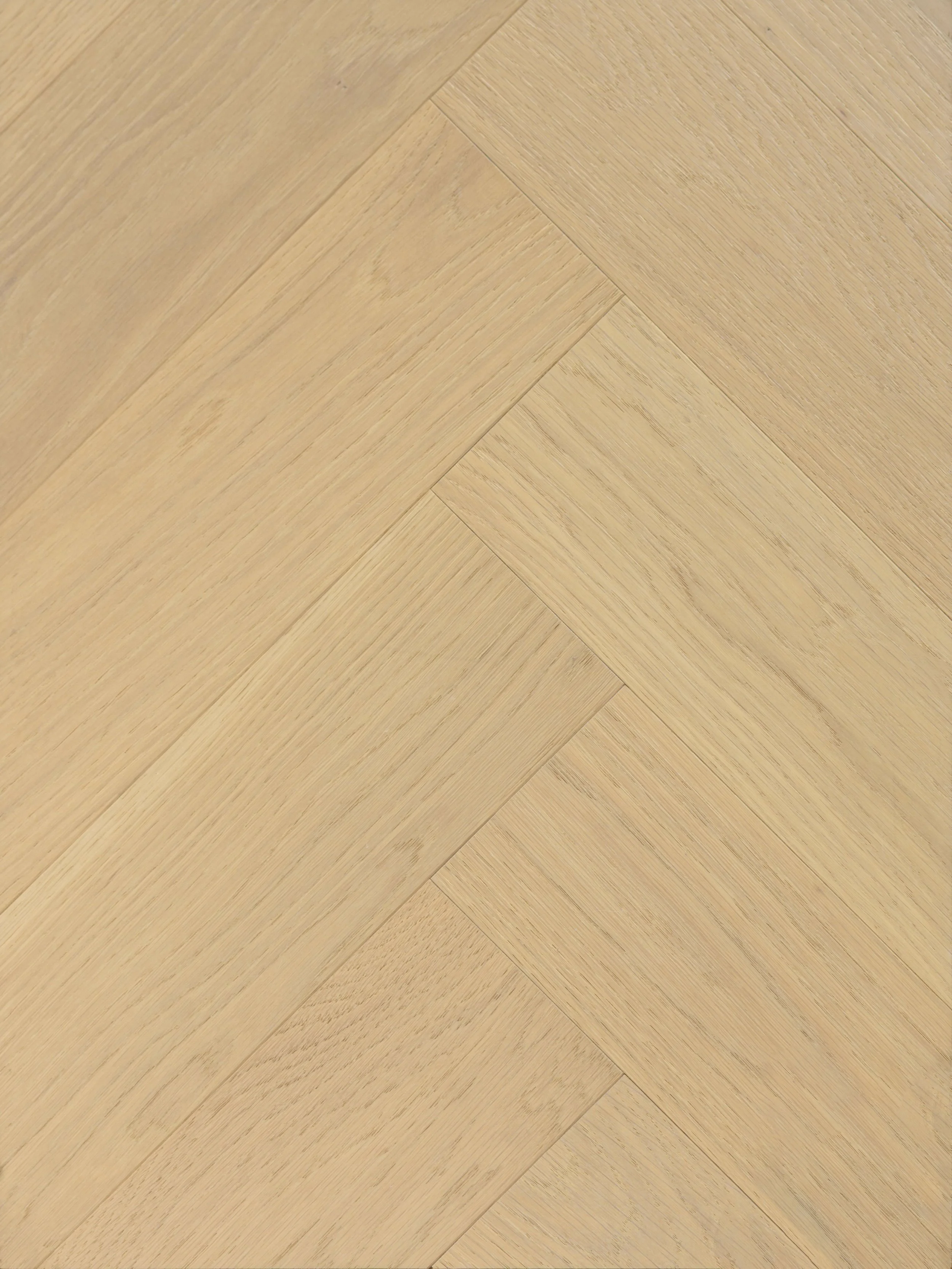 Eggshell Engineered Hardwood | CIERO x VIDAR