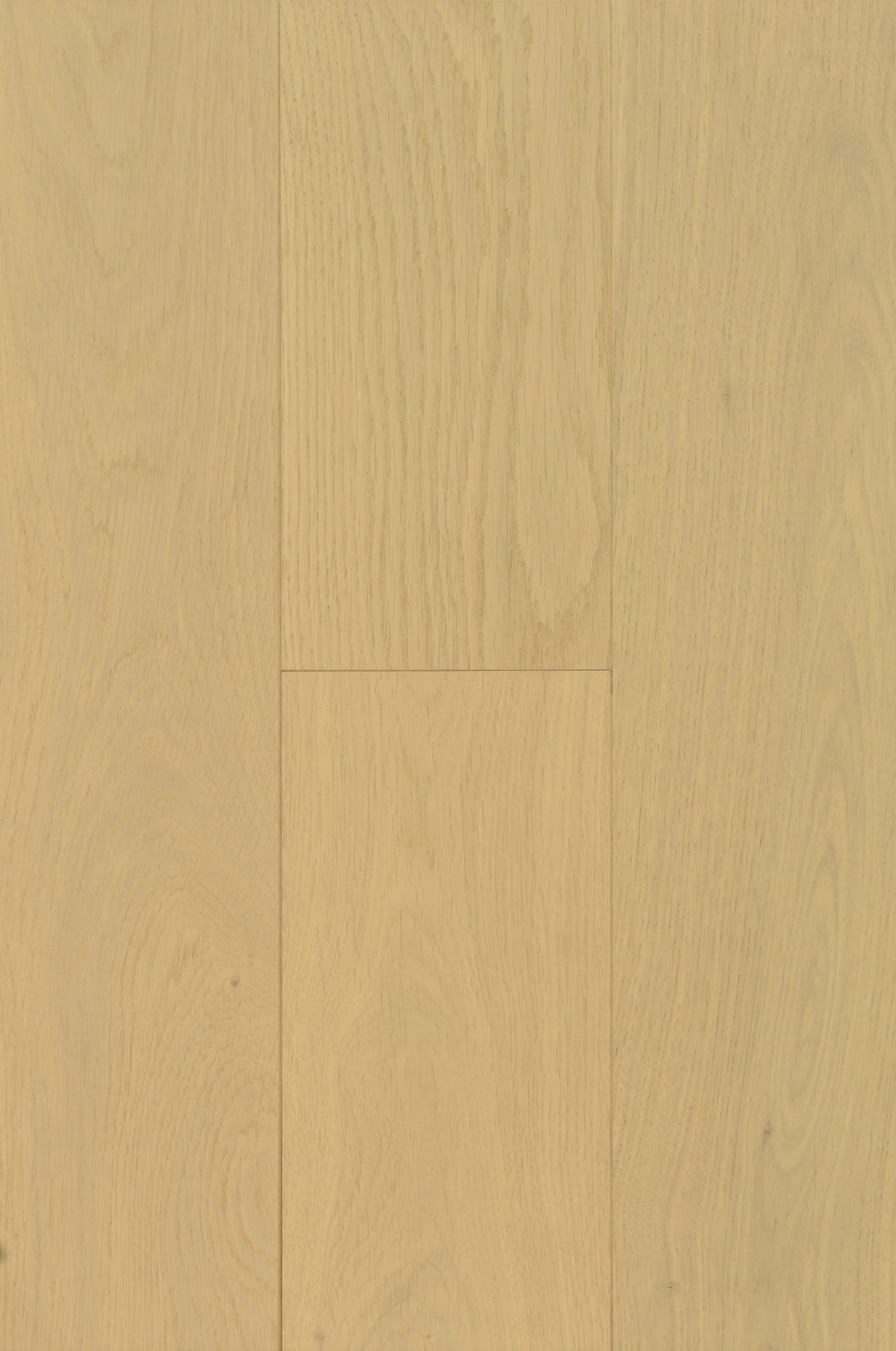 Gimli Engineered Hardwood | CIERO x PURELUX
