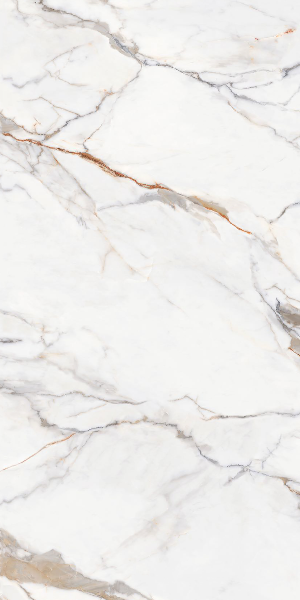 Calacatta Gold 4' x 8' Porcelain Slab | CIERO