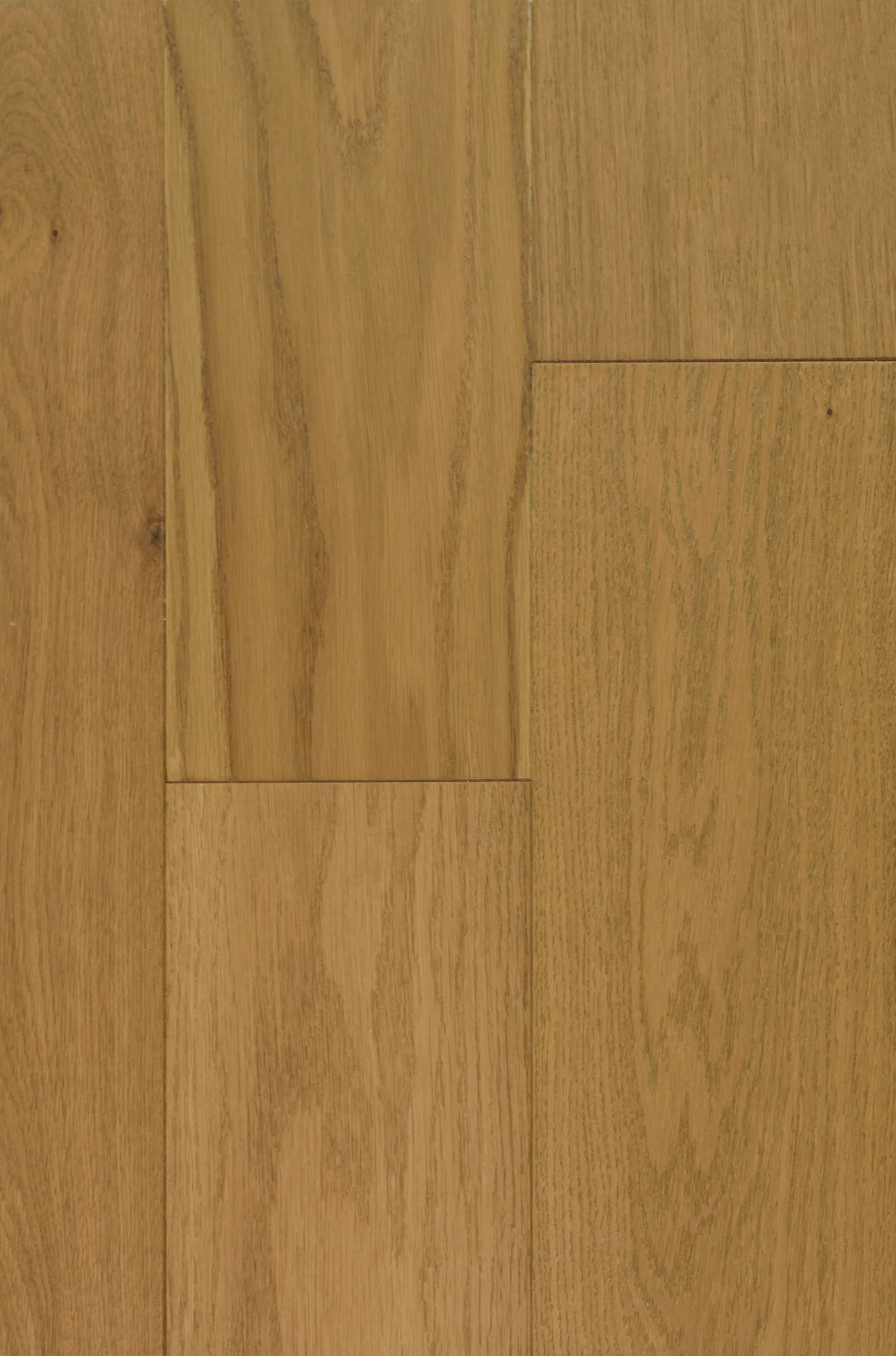 Felicity Engineered Hardwood | CIERO x FUZION