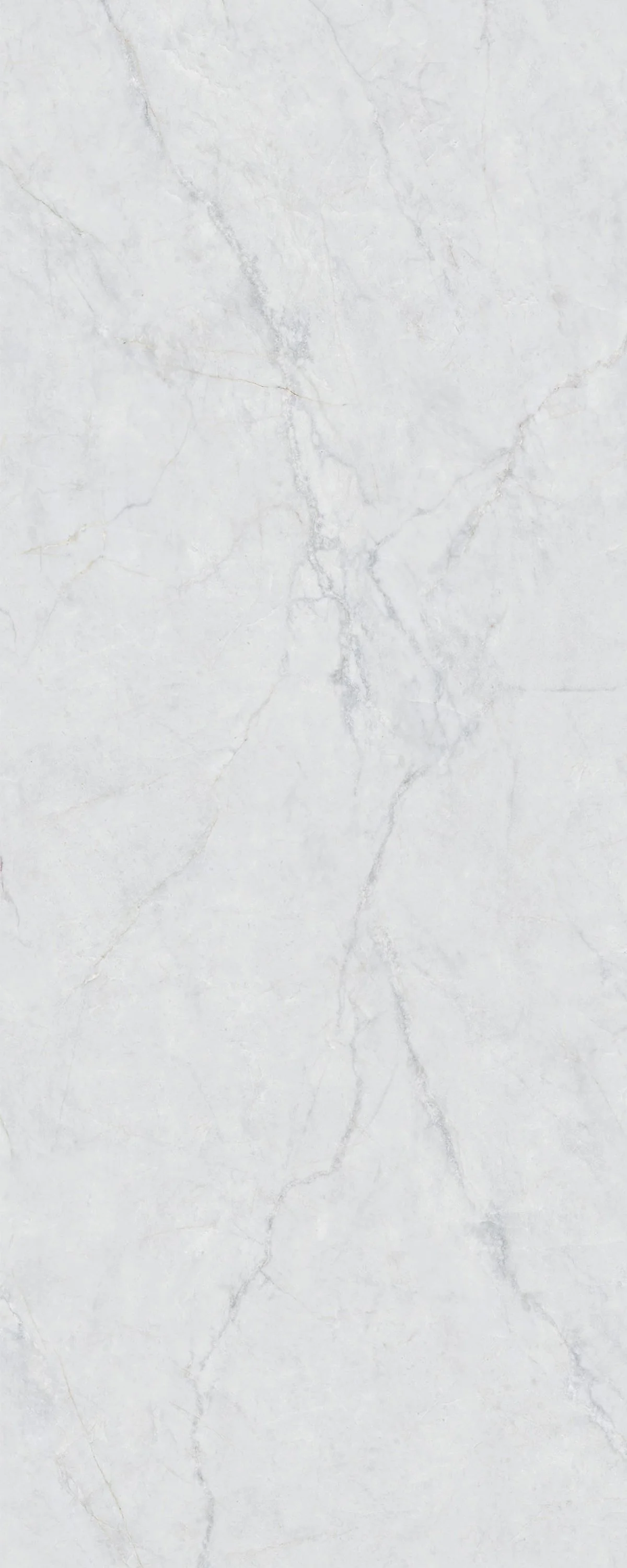 Statuario Ash 4' x 10' Porcelain Slab | CIERO