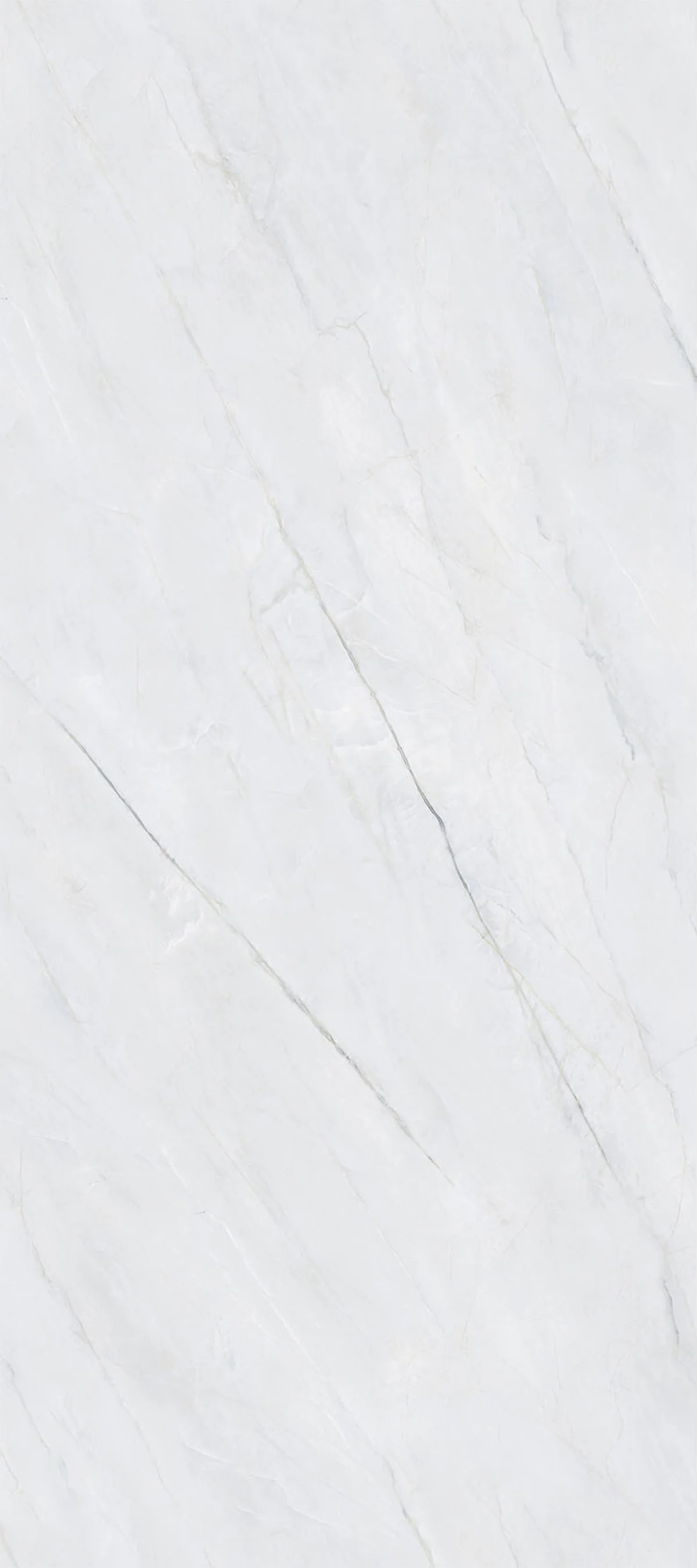 Ashen Slate 4' x 9' Porcelain Slab | CIERO