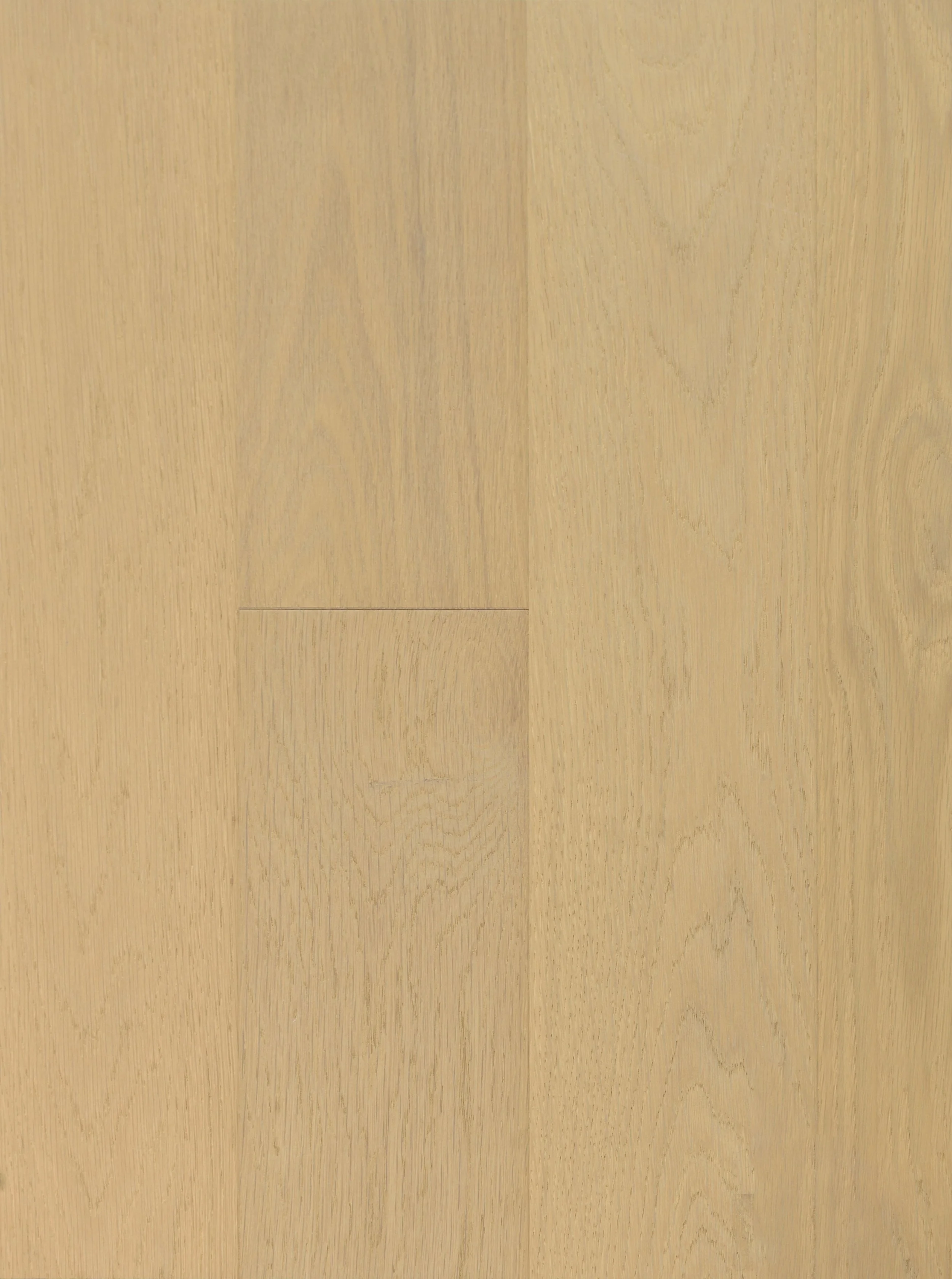 Eggshell Engineered Hardwood | CIERO x VIDAR