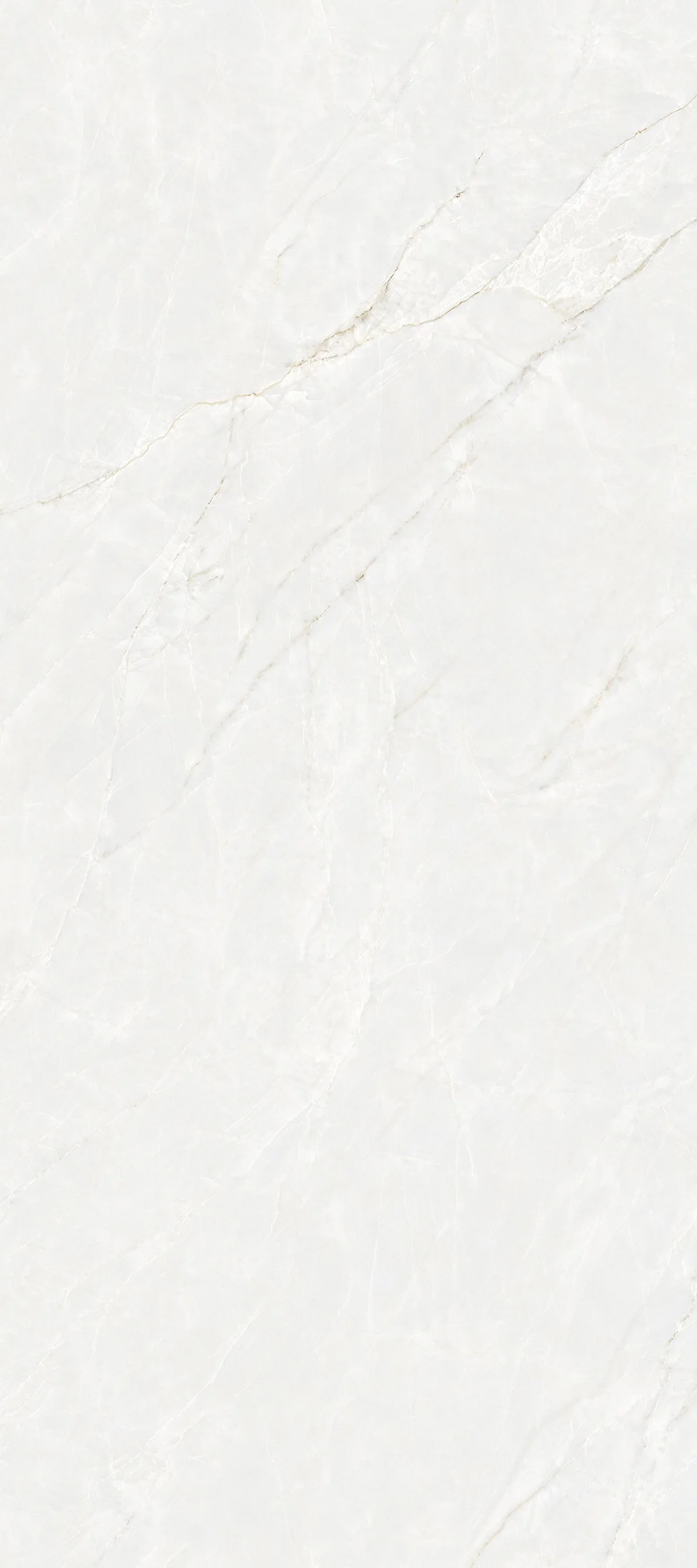 White Jade 4' x 9' Porcelain Slab | CIERO