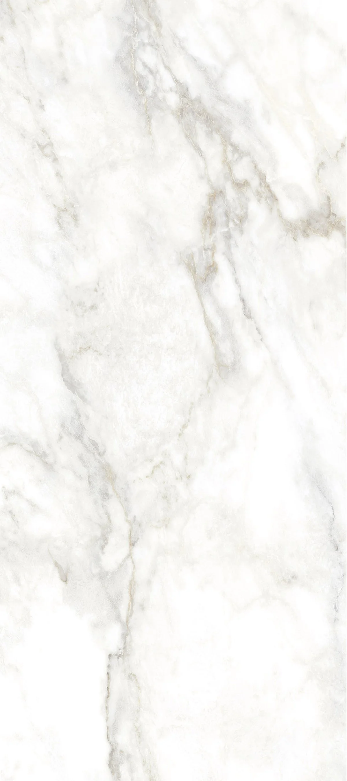 Vienna White 4' x 9' Porcelain Slab | CIERO