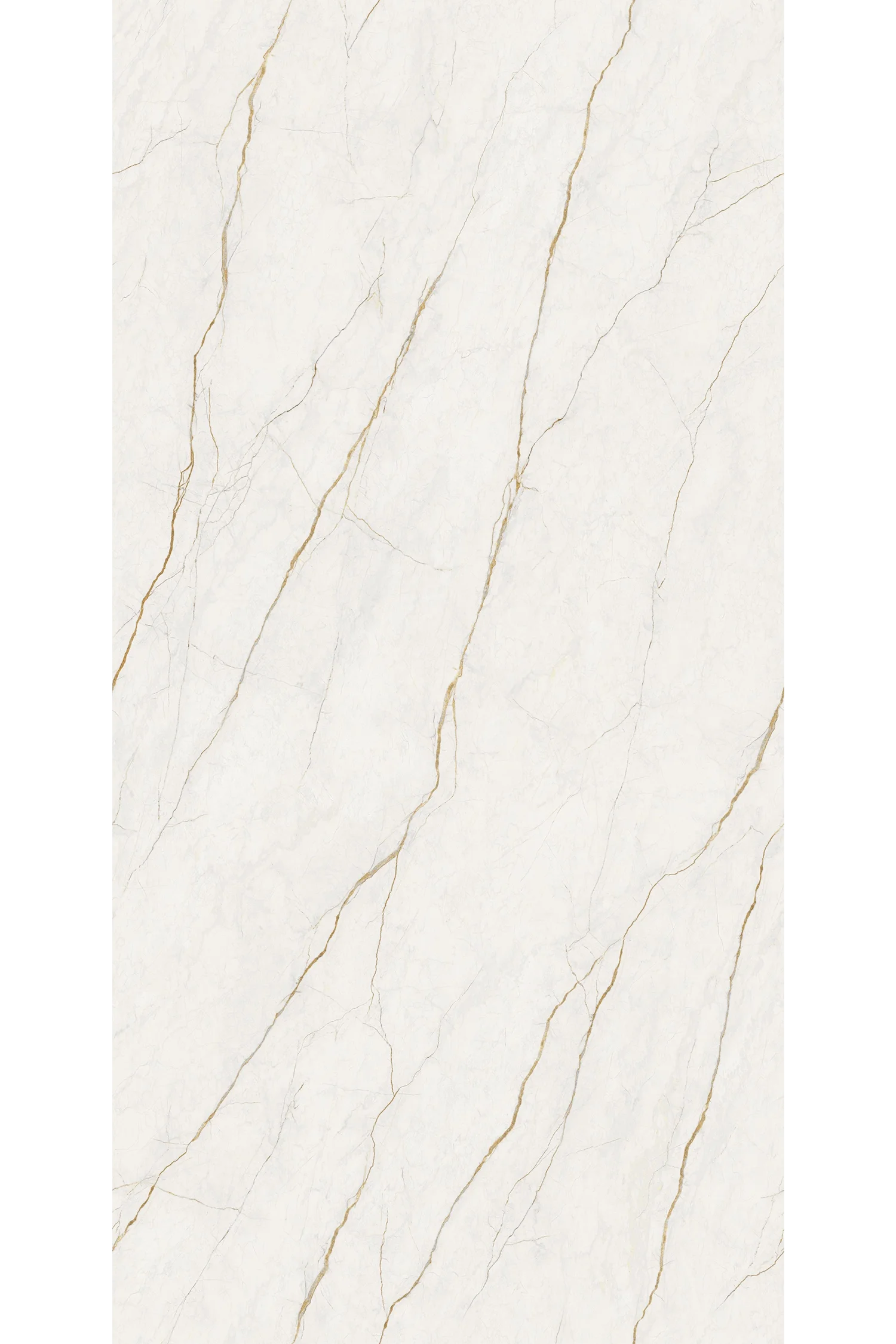 Lemurian Gold 5' x 10' Porcelain Slab | CIERO