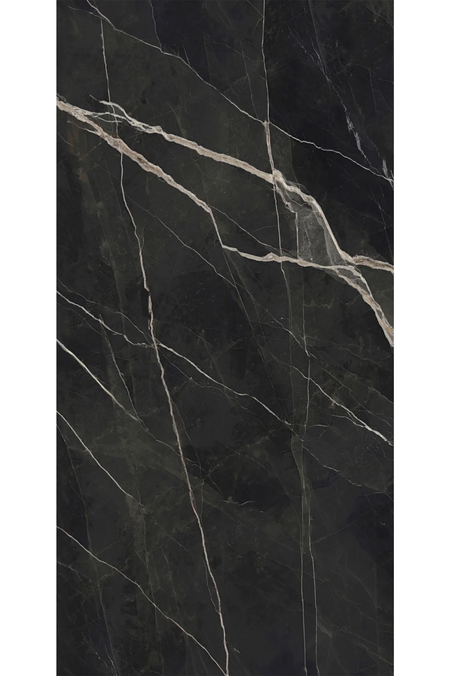 Calacatta Black 5' x 10' Porcelain Slab | CIERO