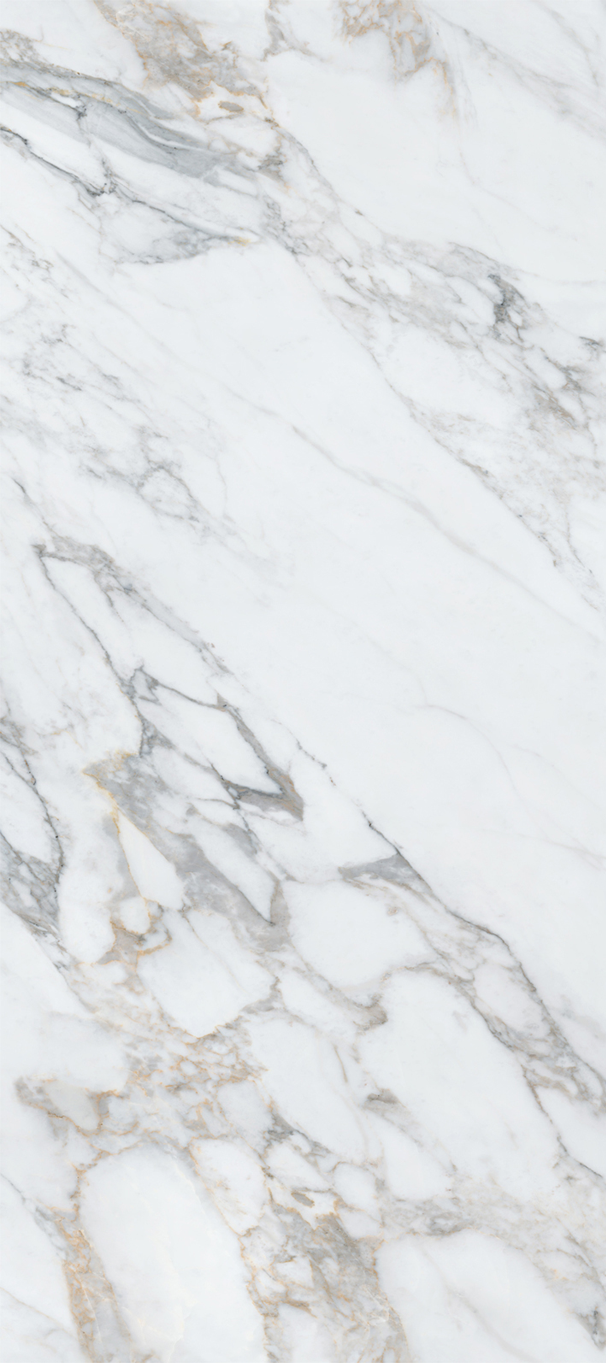Calacatta Royal 4' x 9' Porcelain Slab | CIERO
