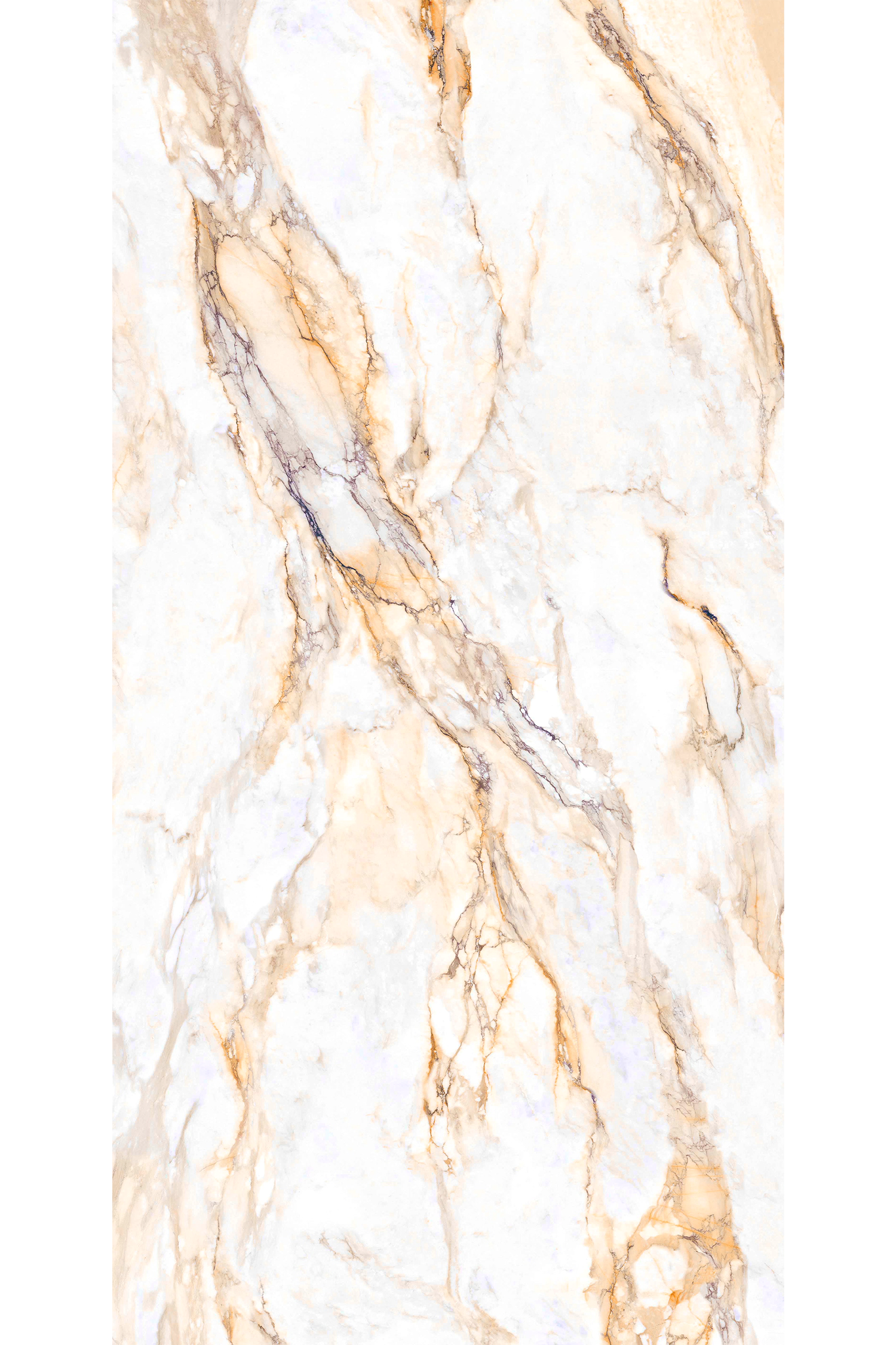 Arden Gold 5' x 10' Porcelain Slab | CIERO