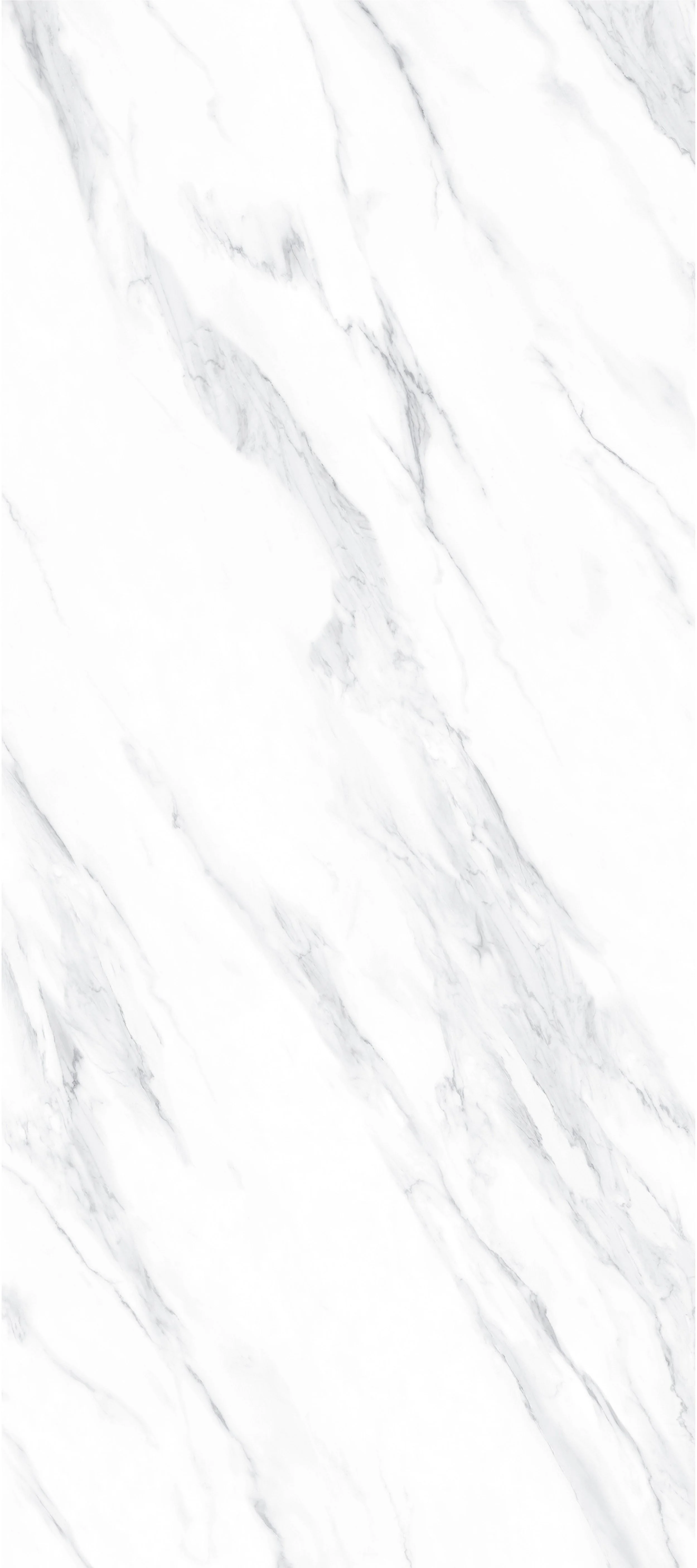 Alaska White 4' x 9' Porcelain Slab | CIERO