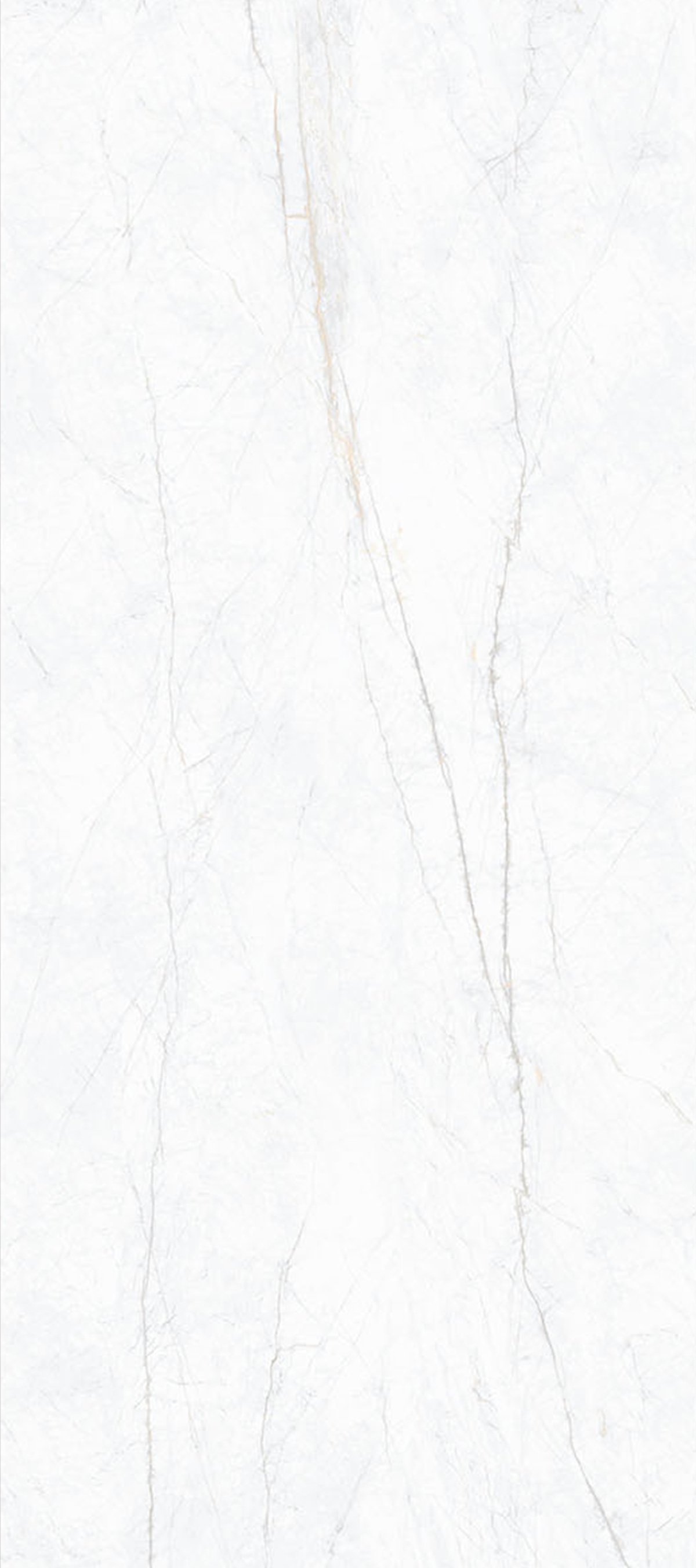 Statuario Pearl 4' x 9' Porcelain Slab | CIERO