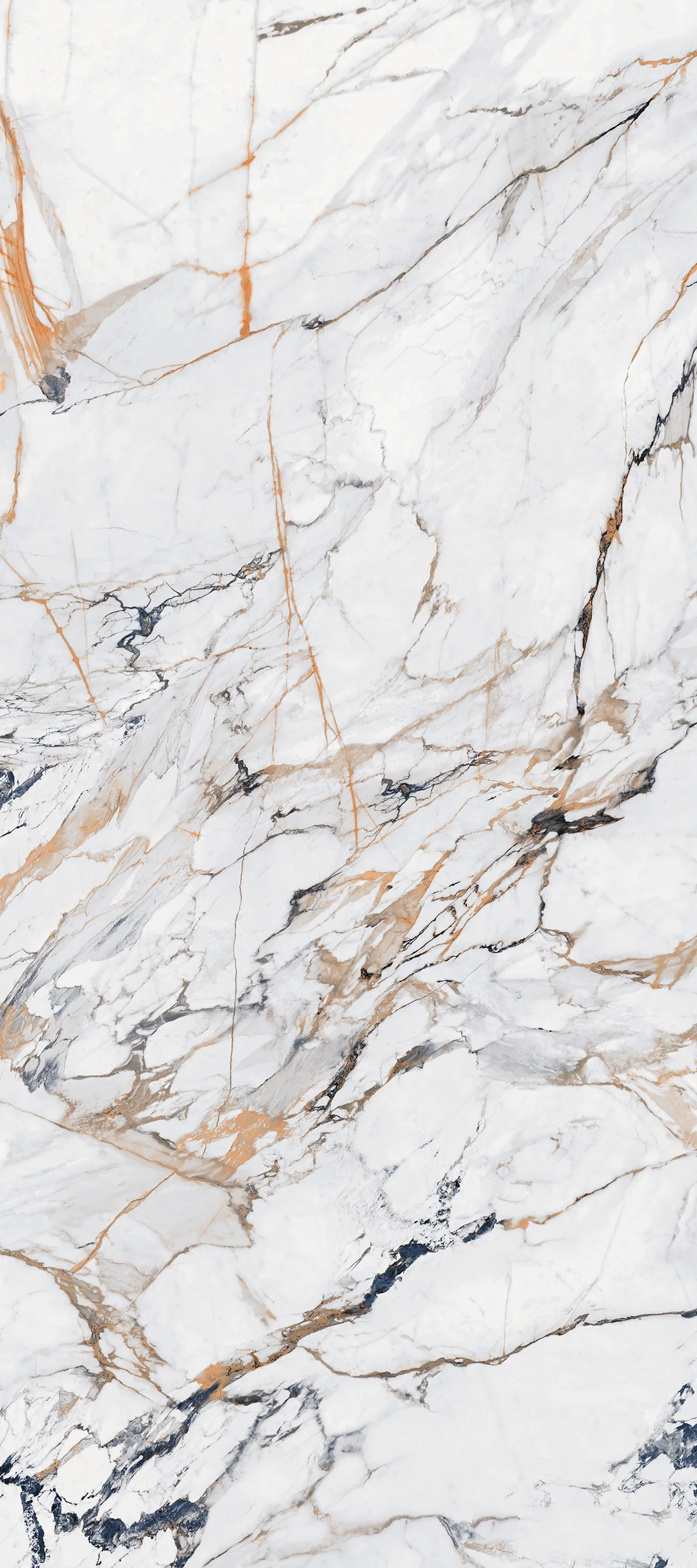 Gilt Year 4' x 9' Porcelain Slab | CIERO