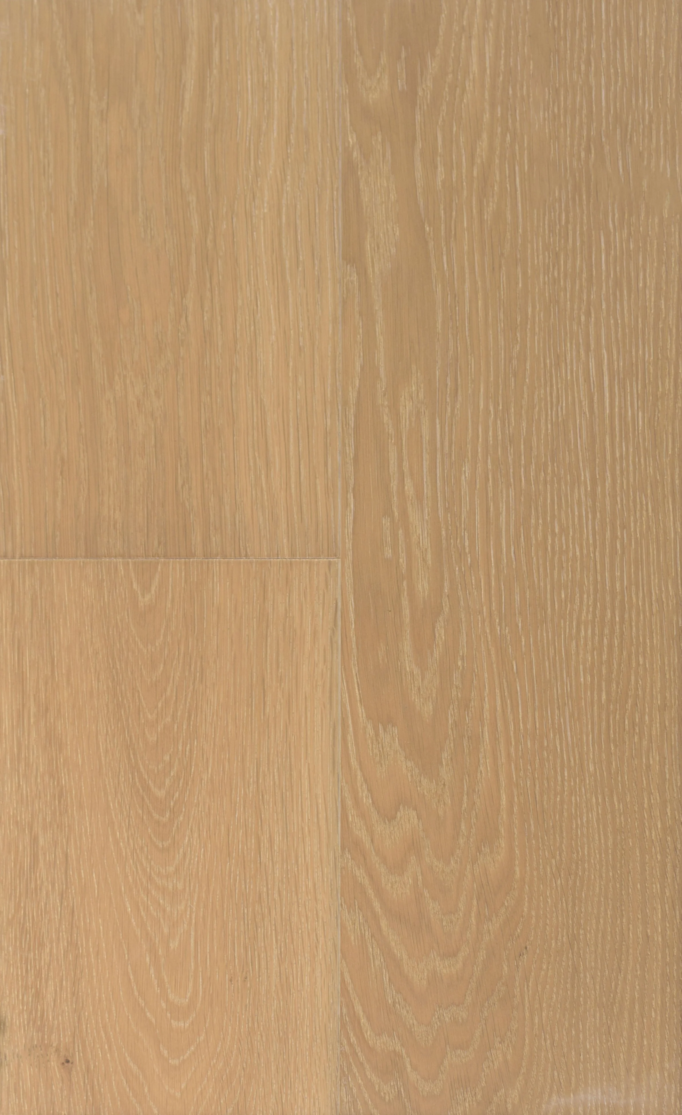 Ashland Engineered Hardwood | CIERO x PURELUX