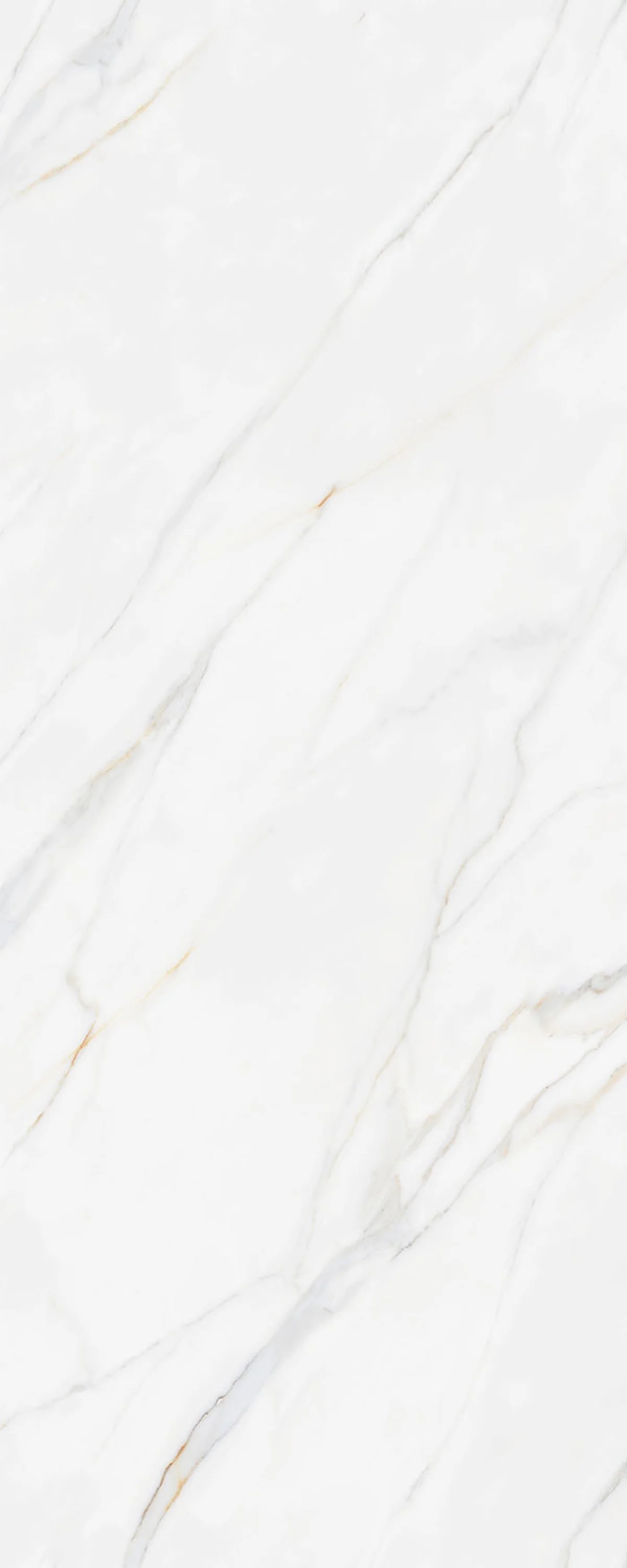 Karami White 4' x 10' Porcelain Slab | CIERO