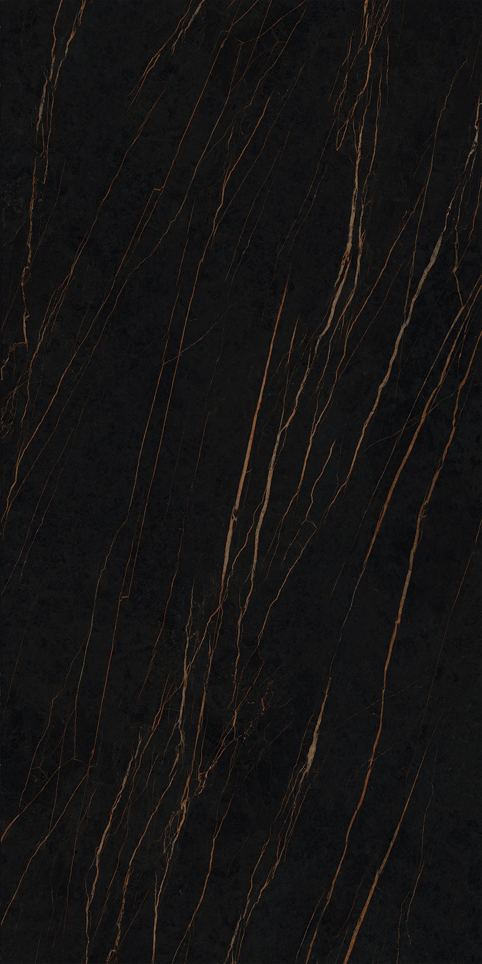 Sahara Noir 5' x 10' Porcelain Slab | CIERO