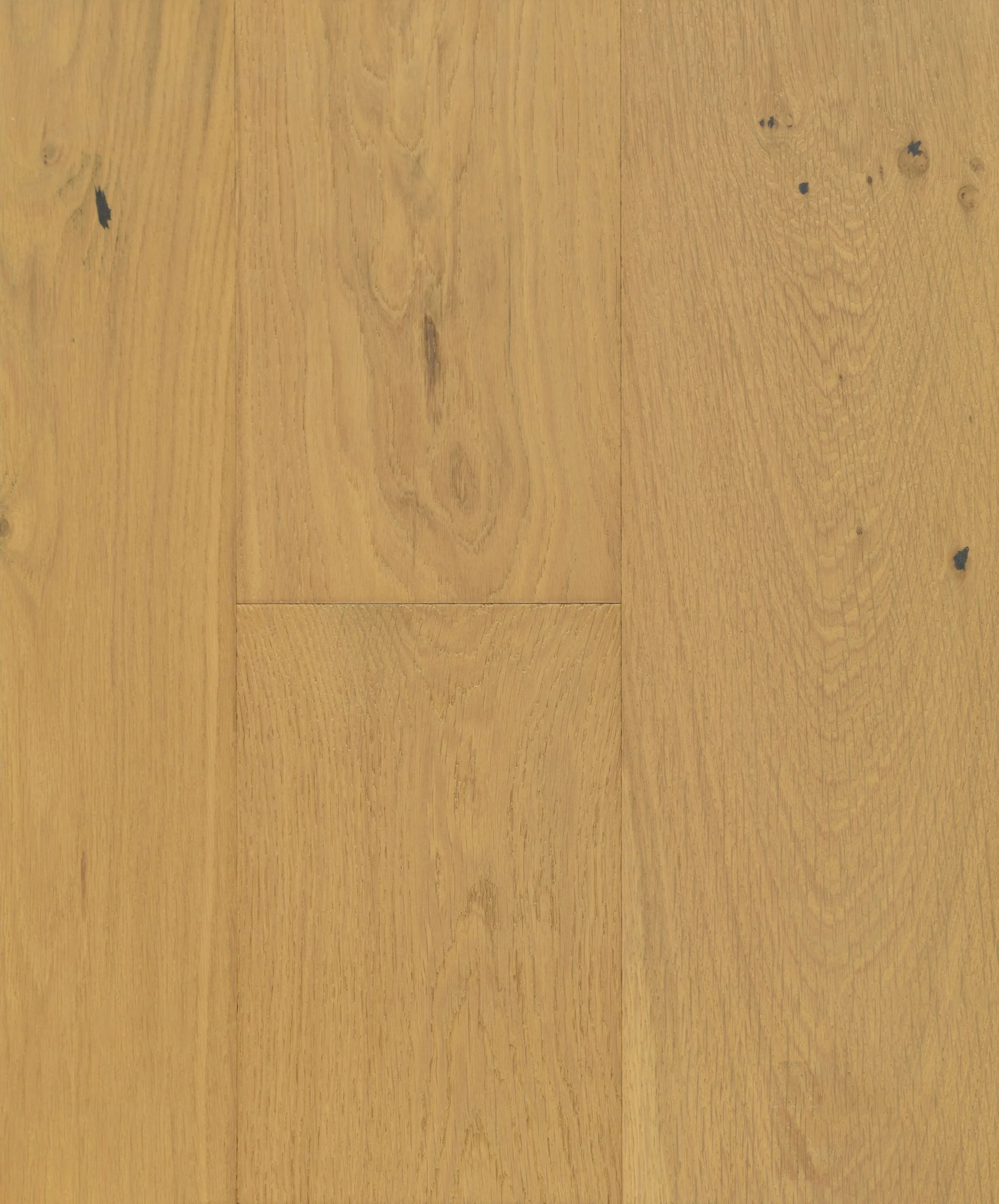 Emily Engineered Hardwood | CIERO x CANADIAN STANDARD