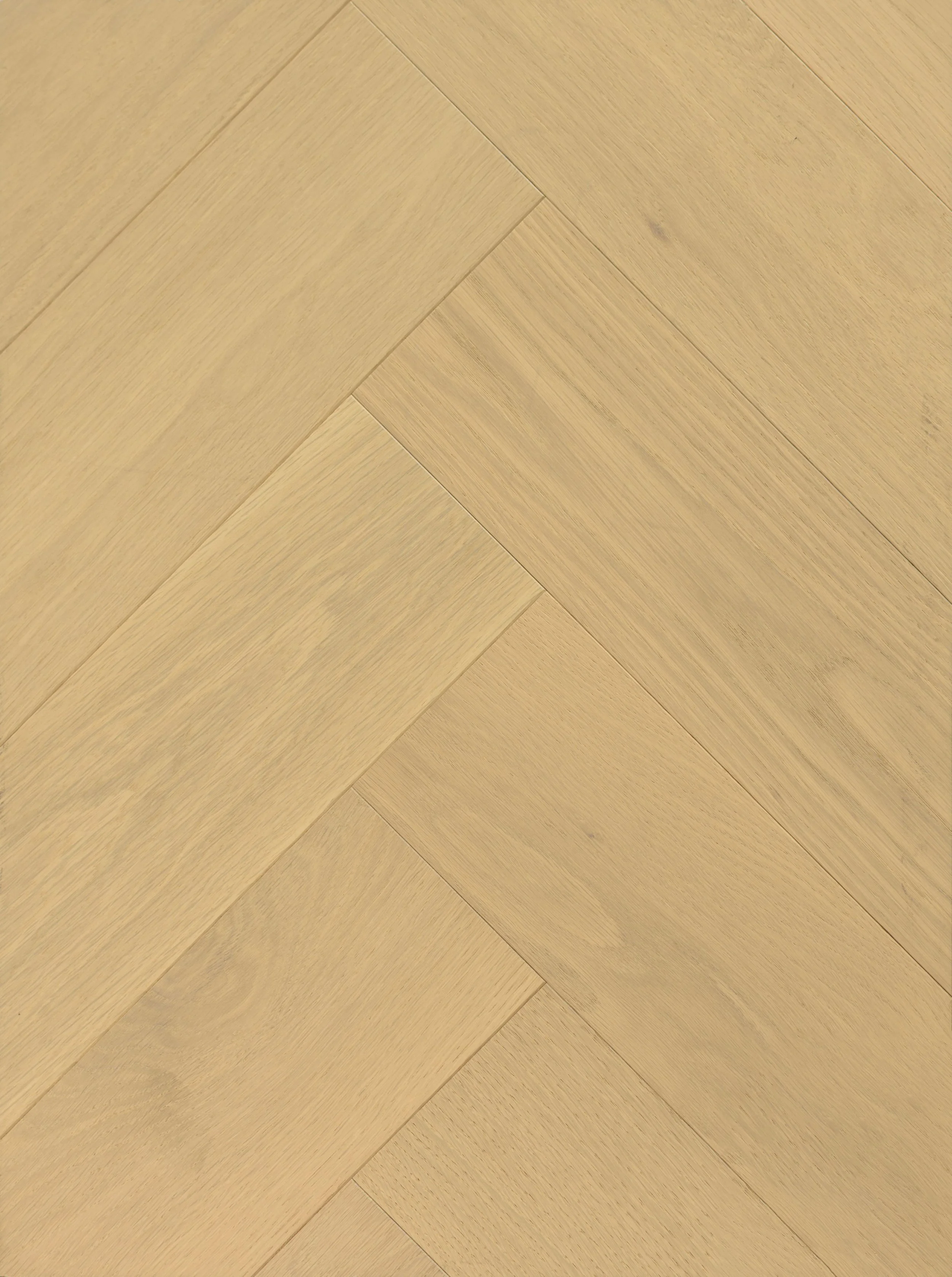 Moon Light Engineered Hardwood | CIERO x VIDAR