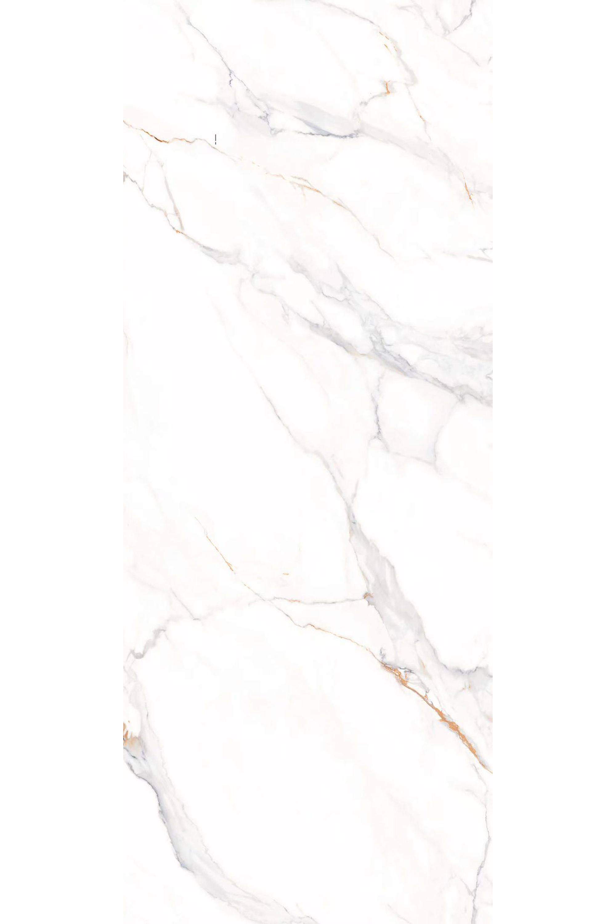 MARCEL -3 (WEB).png