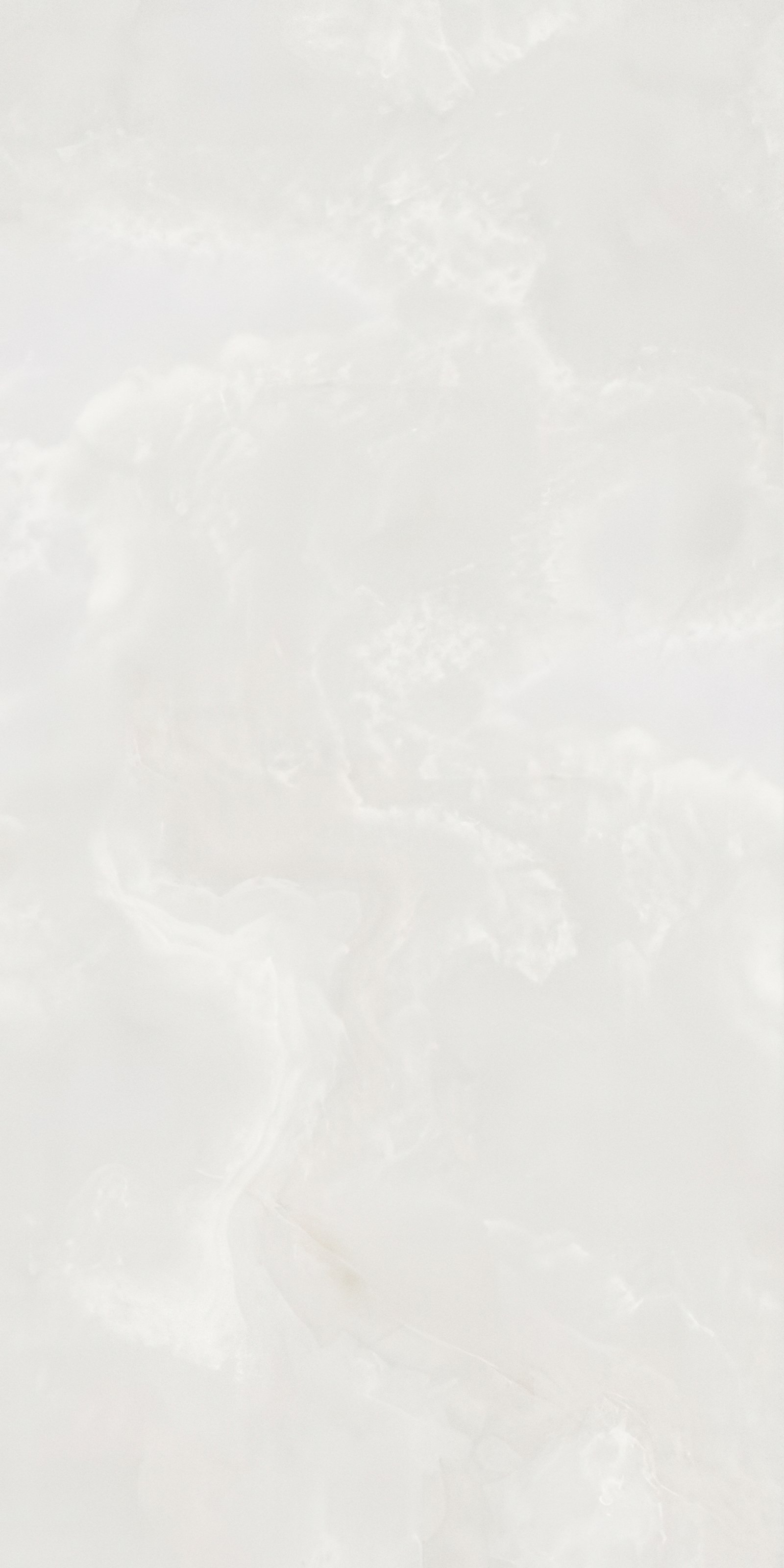 Onyx Limestone 4' x 9' Porcelain Slab | CIERO