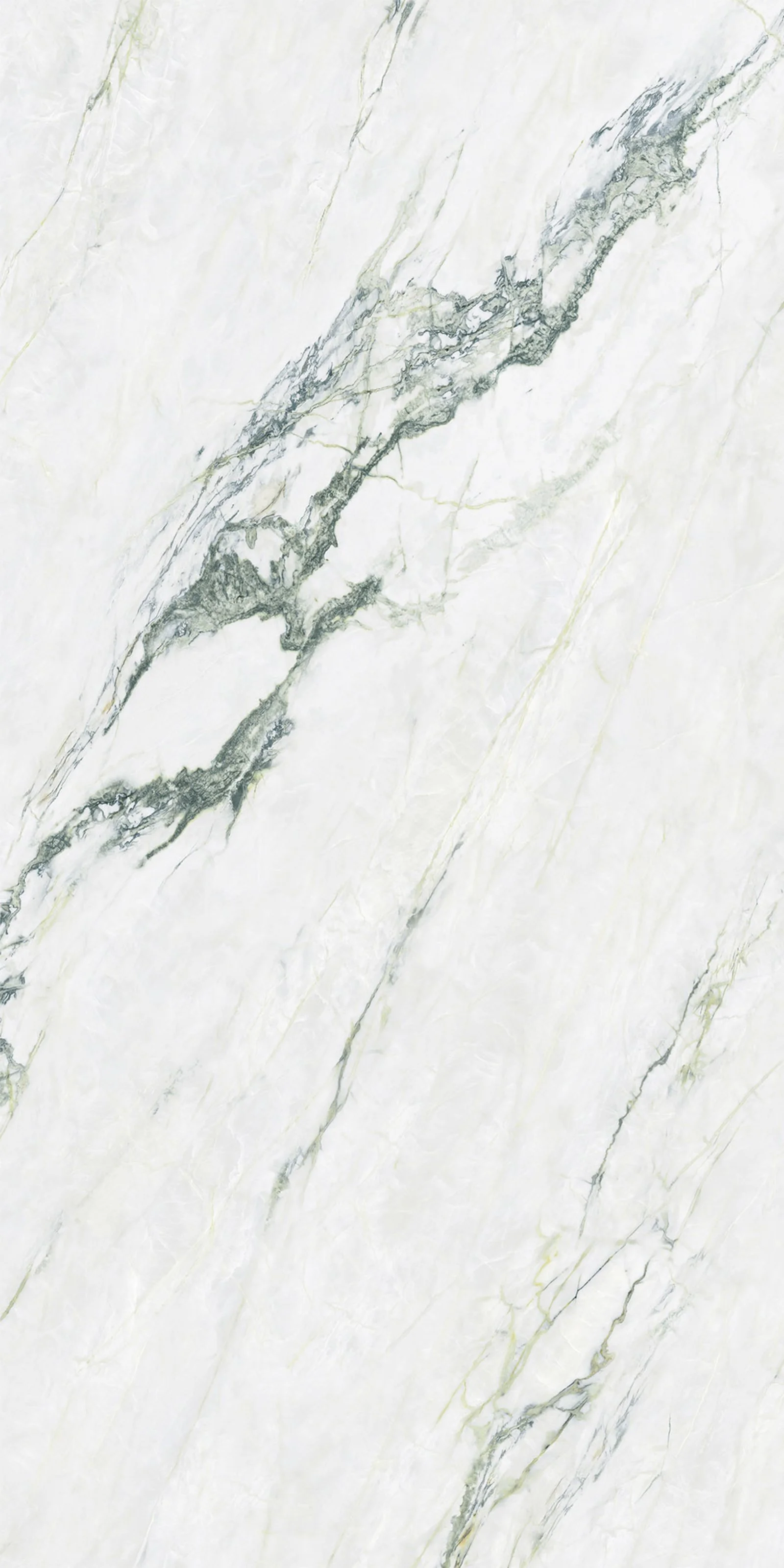 Calacatta Verde 5' x 10' Porcelain Slab | CIERO