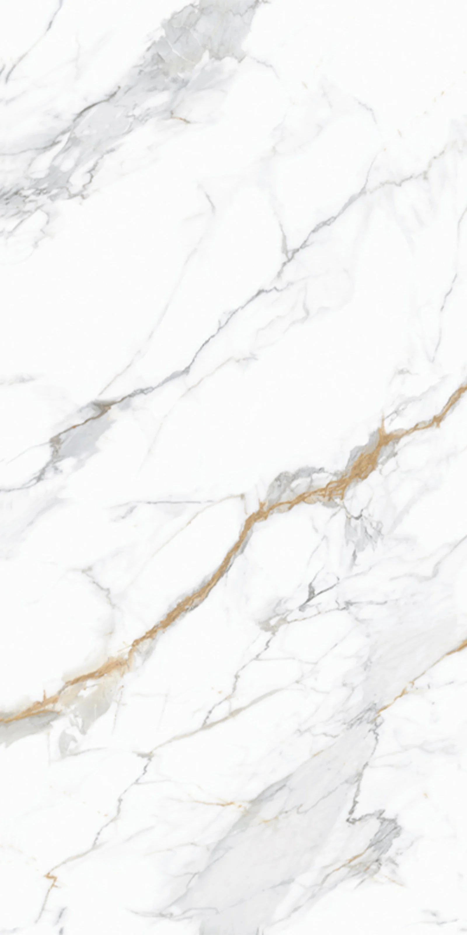 Calacatta Gold V2 5' x 10' Porcelain Slab | CIERO