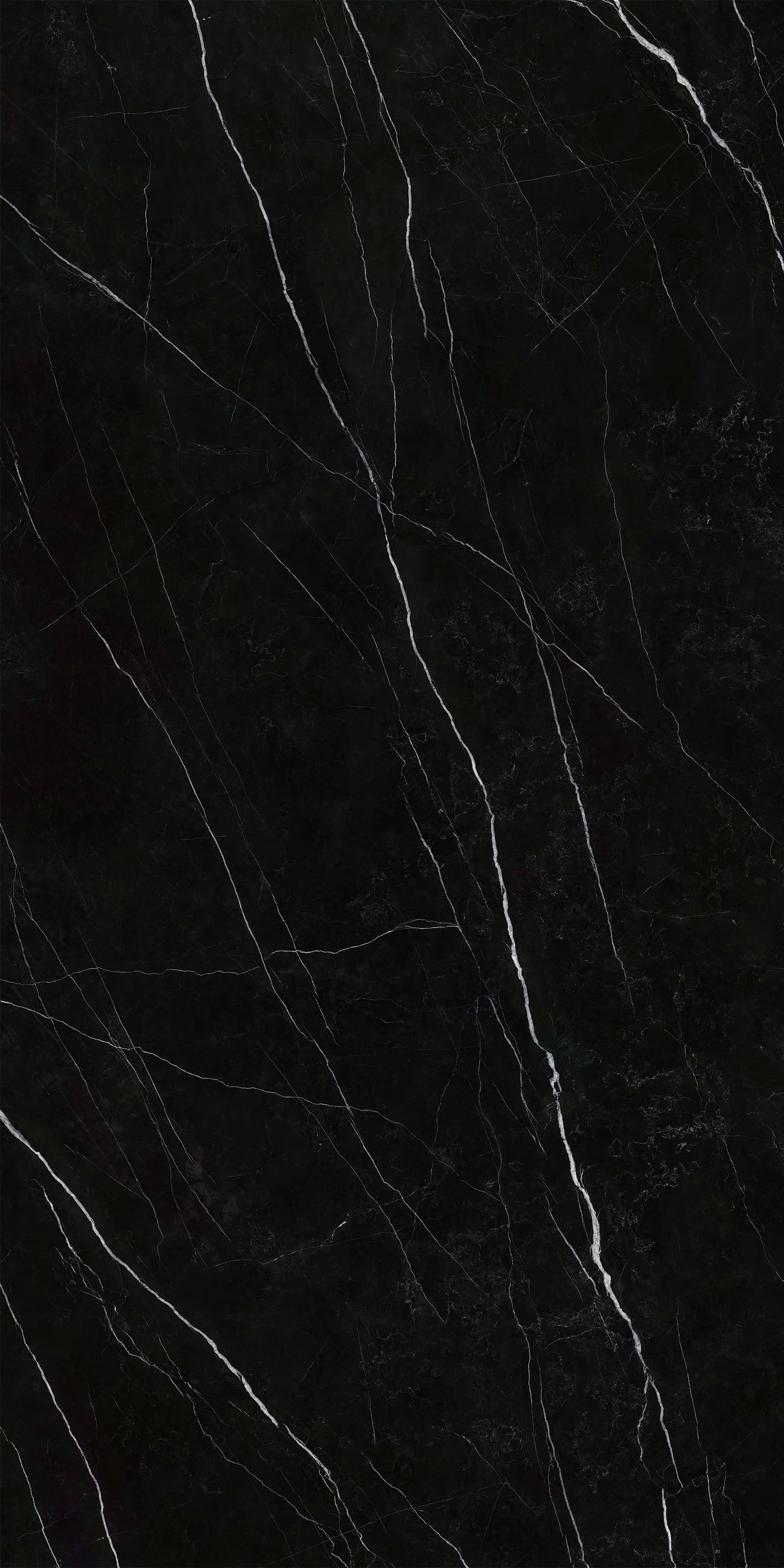 Nero Marquina 5' x 10' Porcelain Slab | CIERO