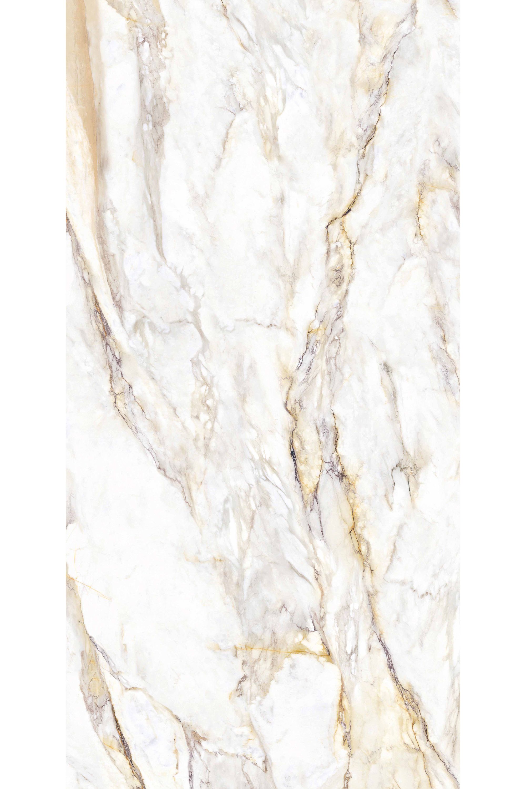 Arden Gold - B - WEB.png
