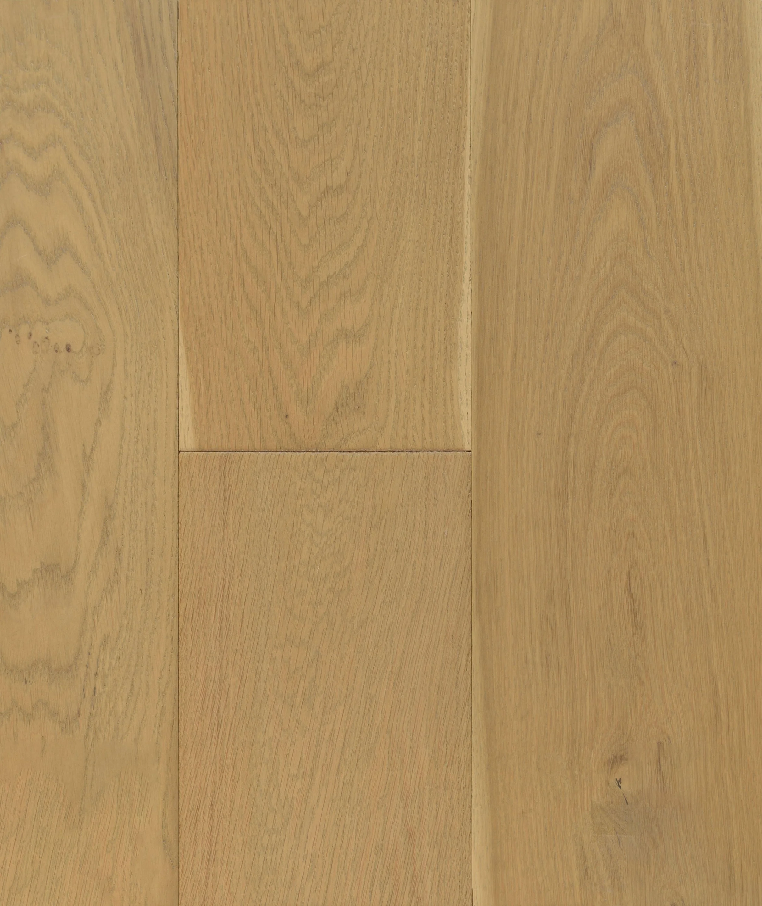 Charlotte Engineered Hardwood | CIERO x CANADIAN STANDARD