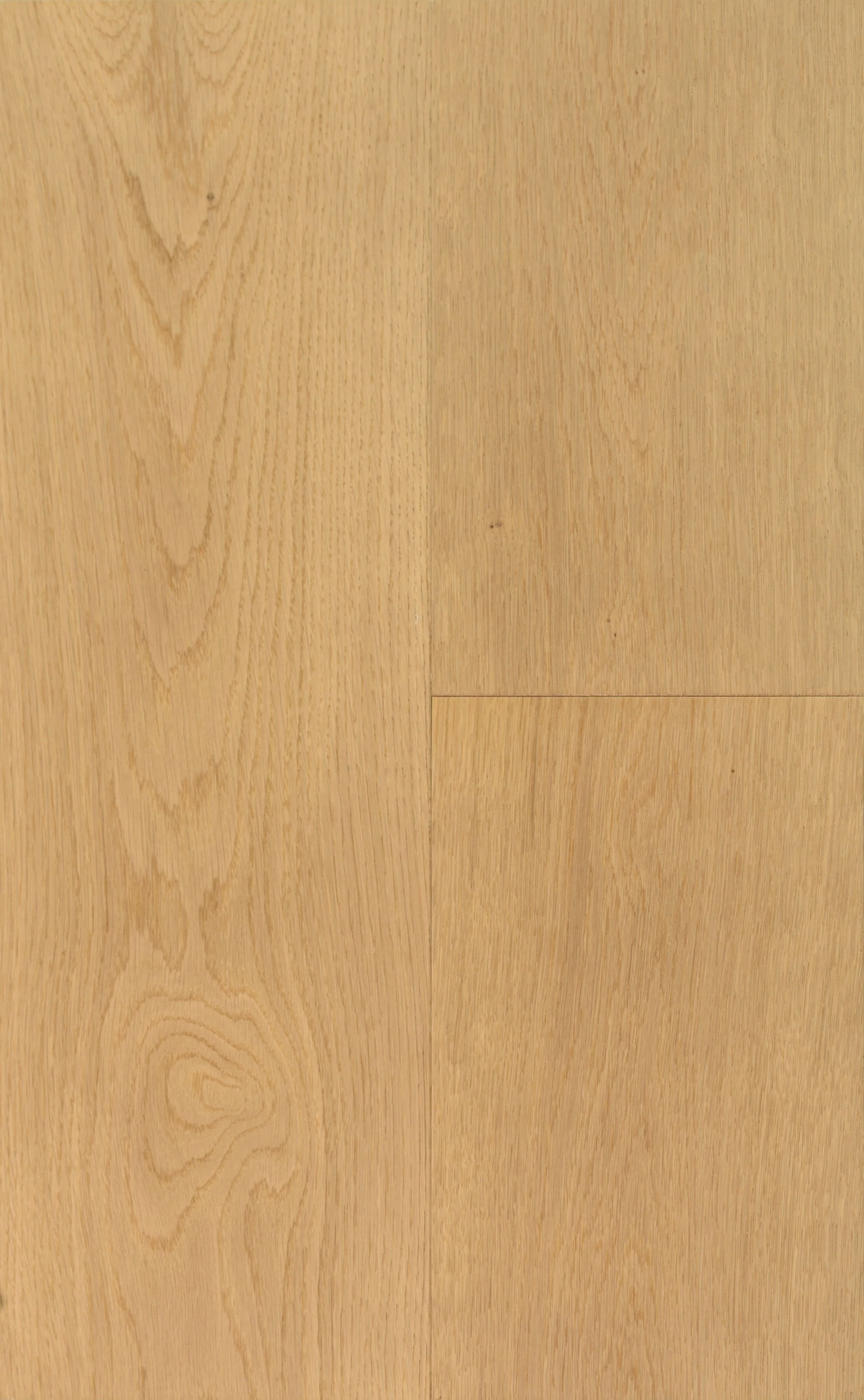 Hopewell Engineered Hardwood | CIERO x PURELUX