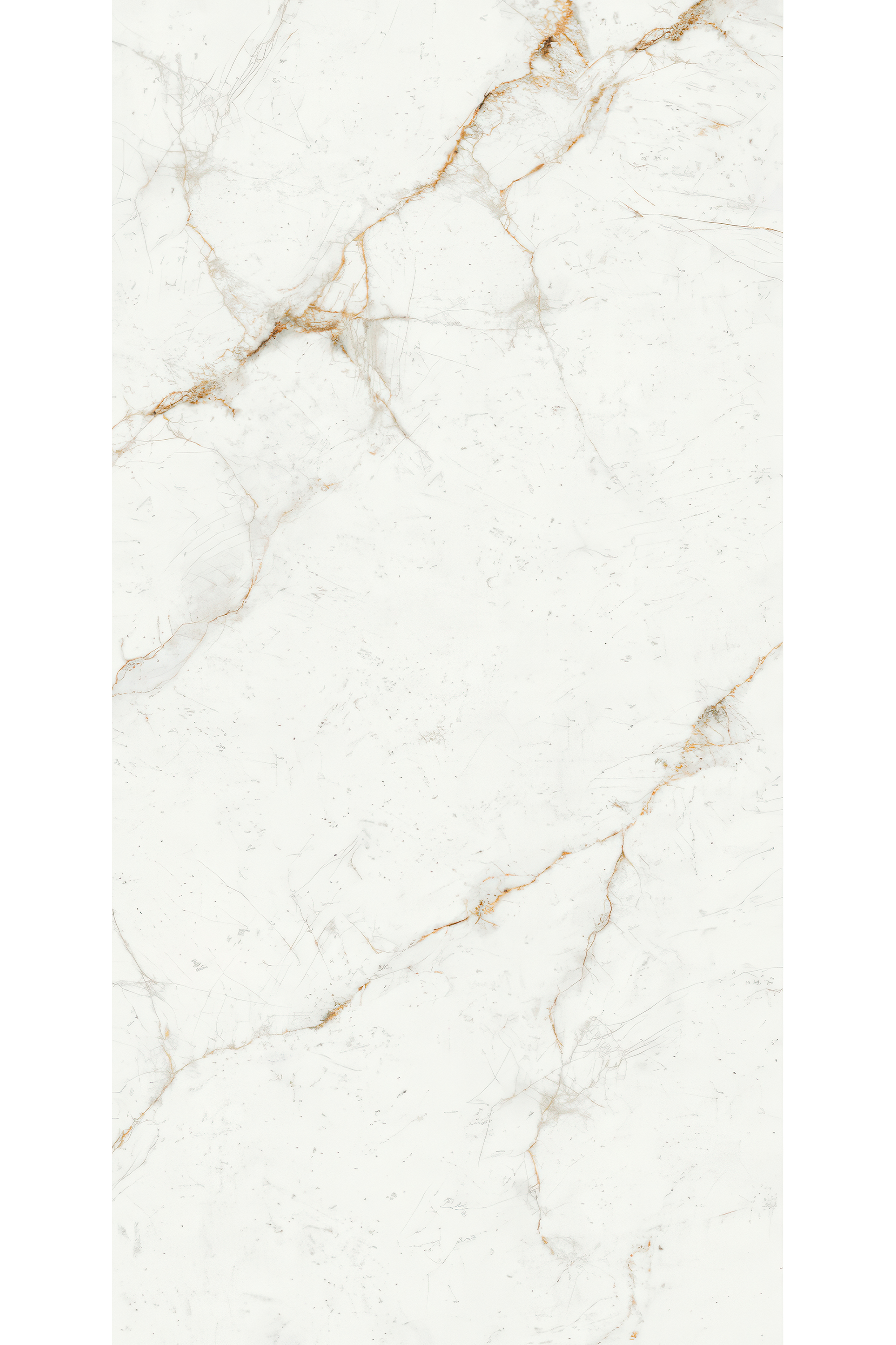 Carrara Gold 5x10 Porcelain Slab | CIERO