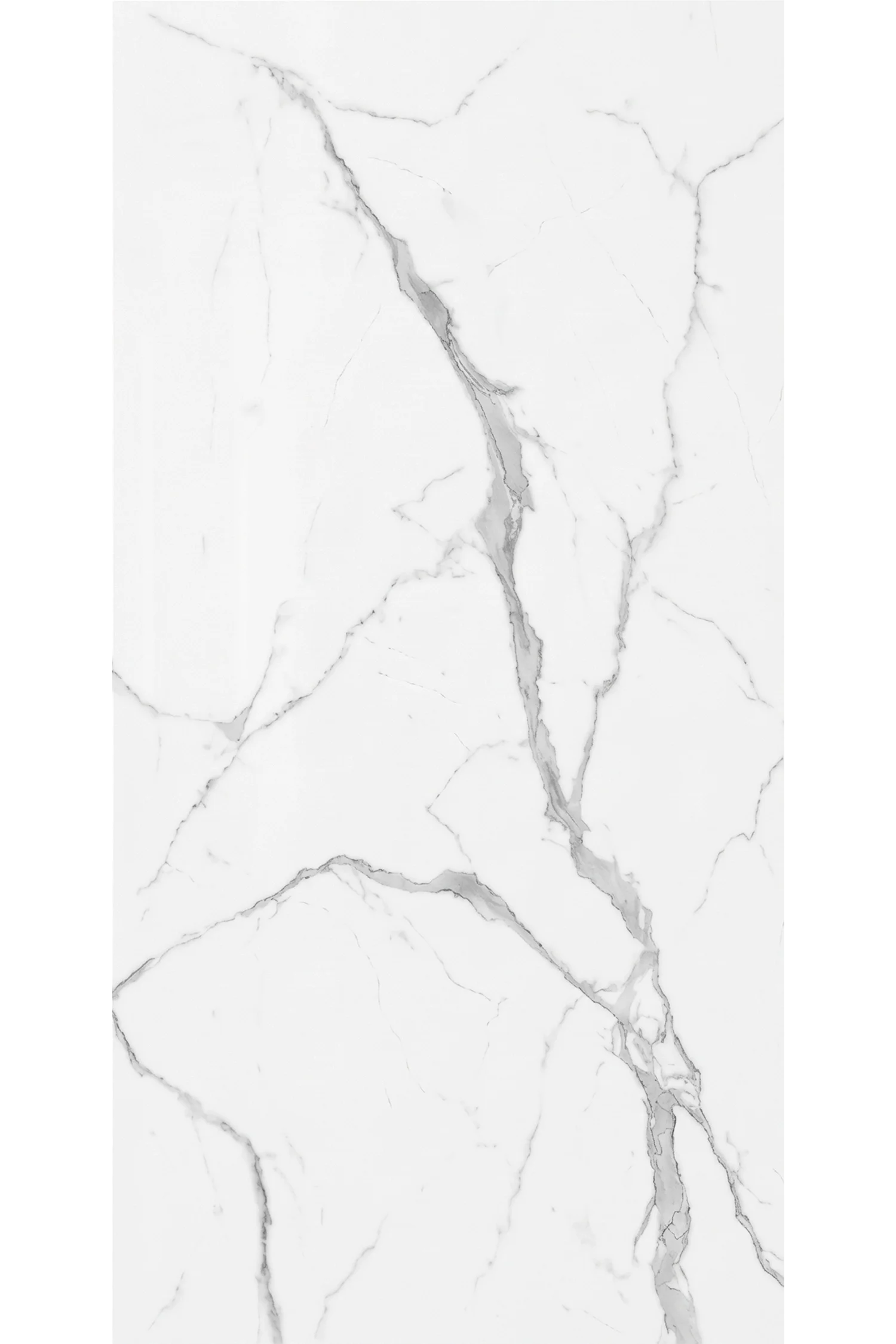 Statuario Marble 5' x 10' Porcelain Slab | CIERO
