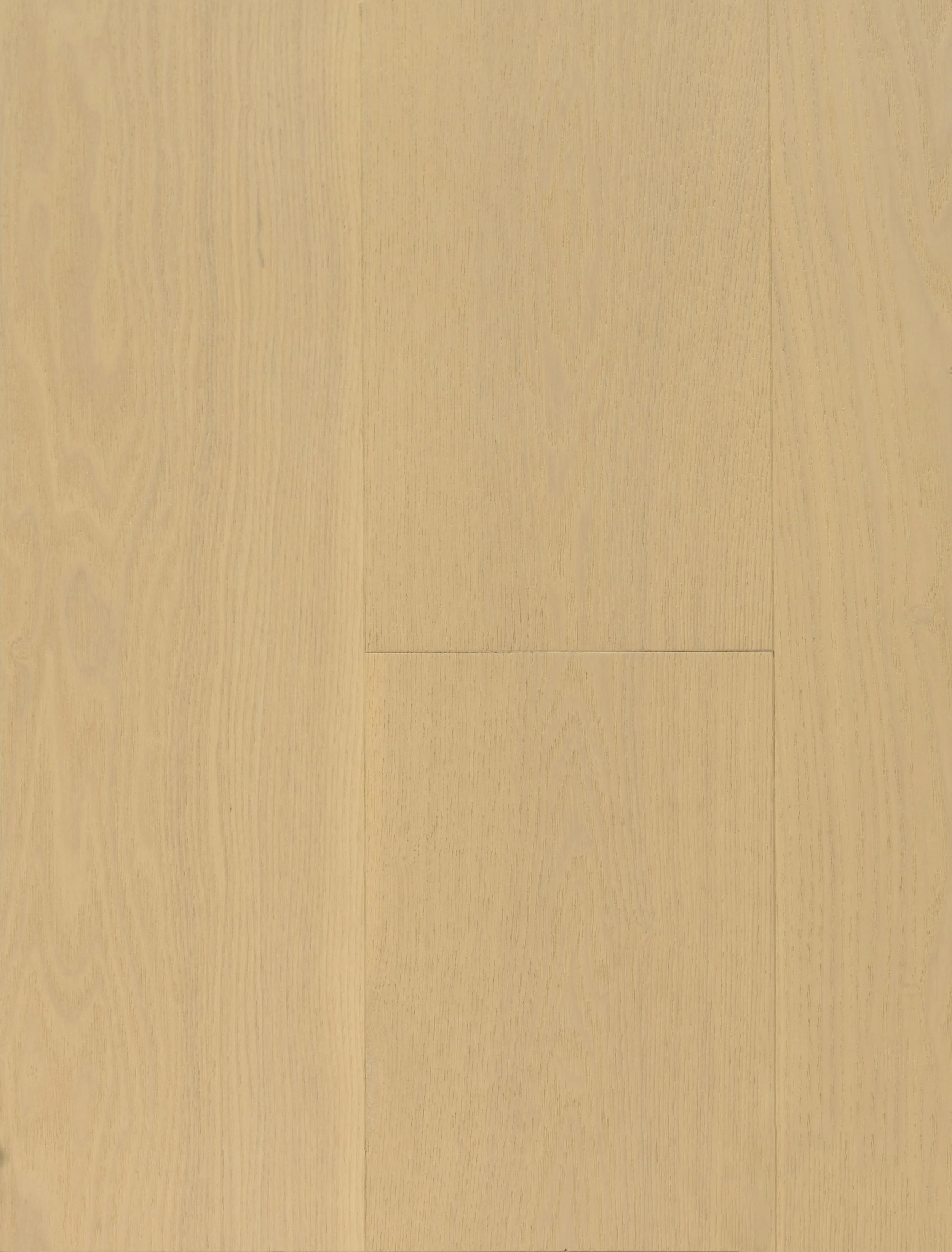 Coconut Cream Engineered Hardwood | CIERO x VIDAR