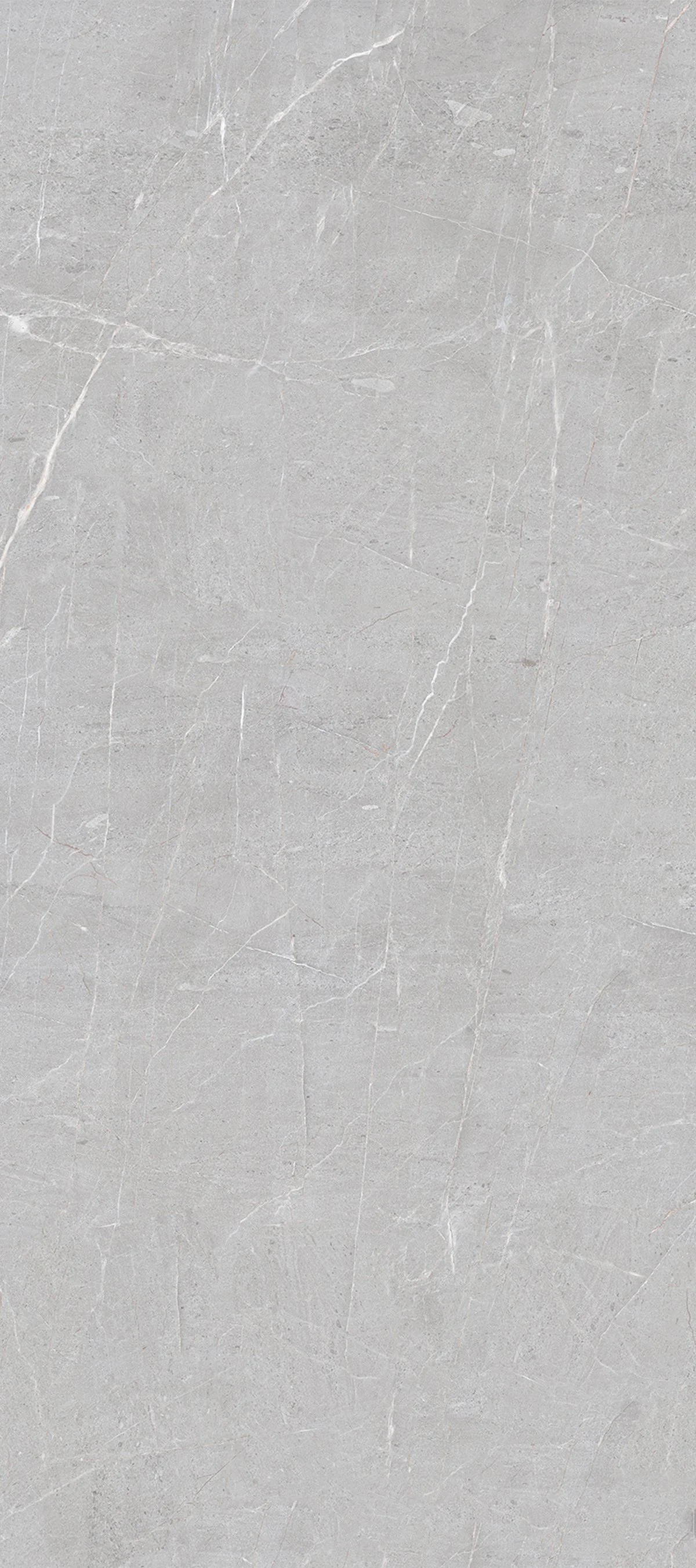 Pulpis Grey 4' x 9' Porcelain Slab | CIERO