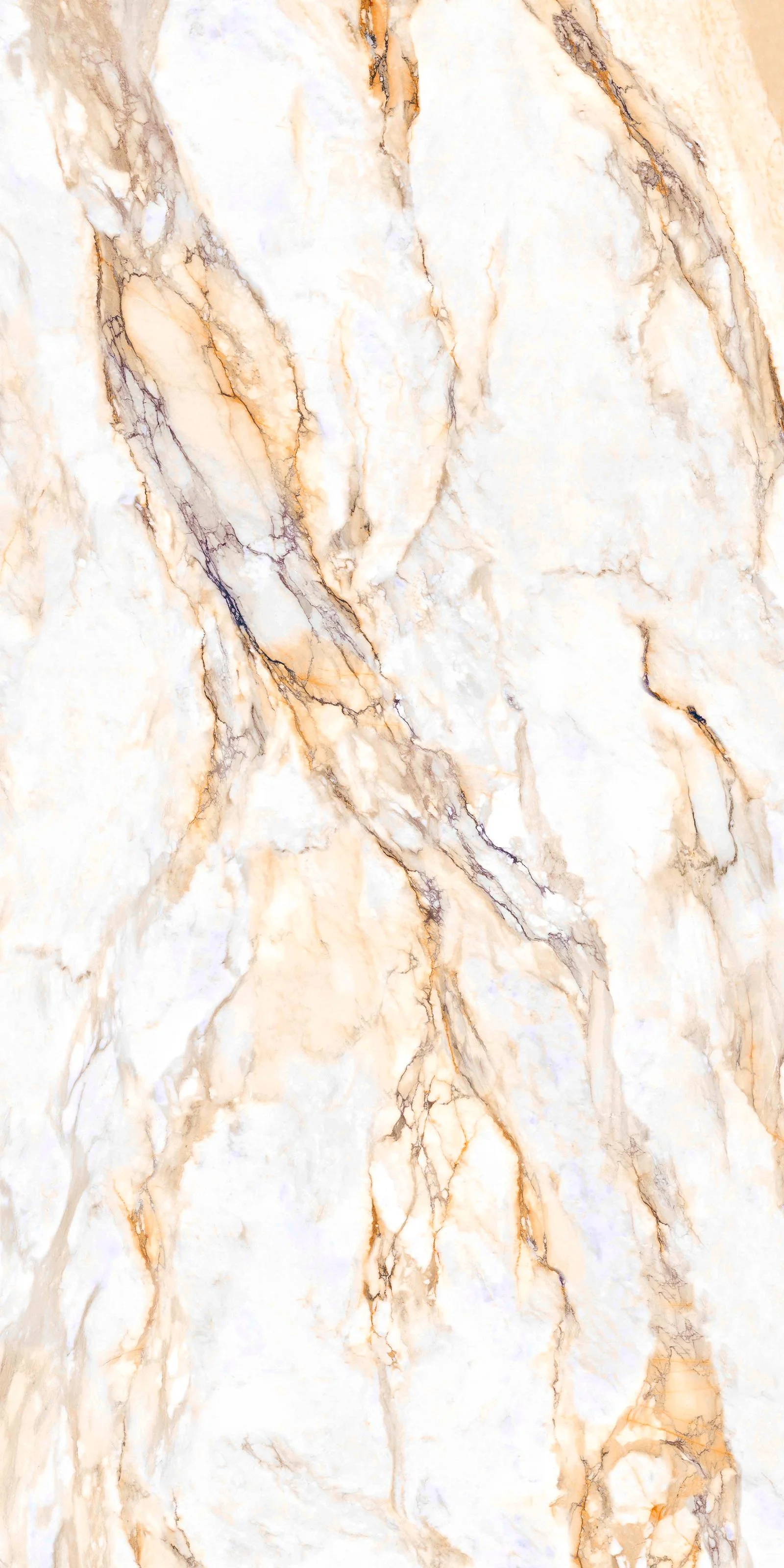 Arden Gold 5' x 10' Porcelain Slab | CIERO